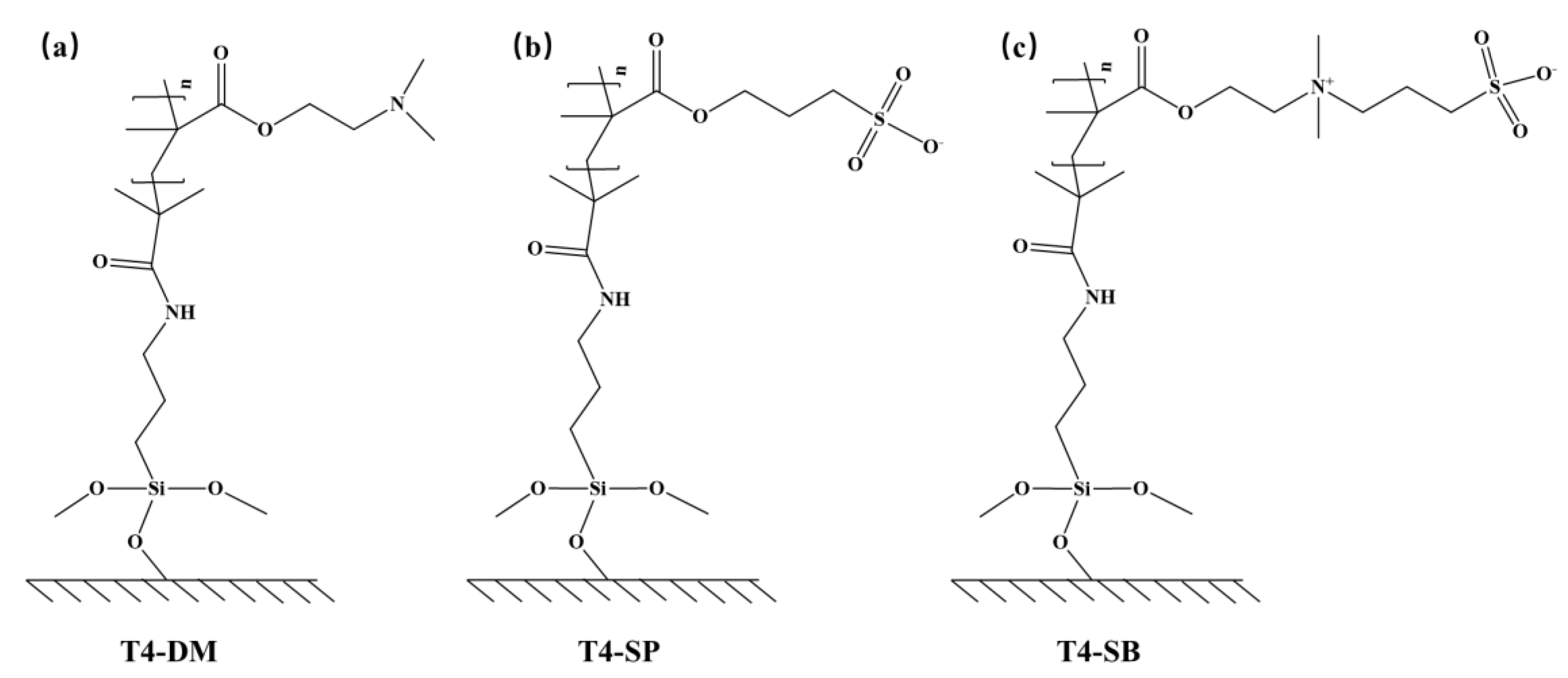 Molecules 27 03074 g001