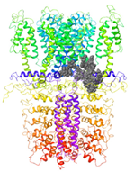 Molecules 27 03077 i013