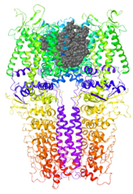 Molecules 27 03077 i014