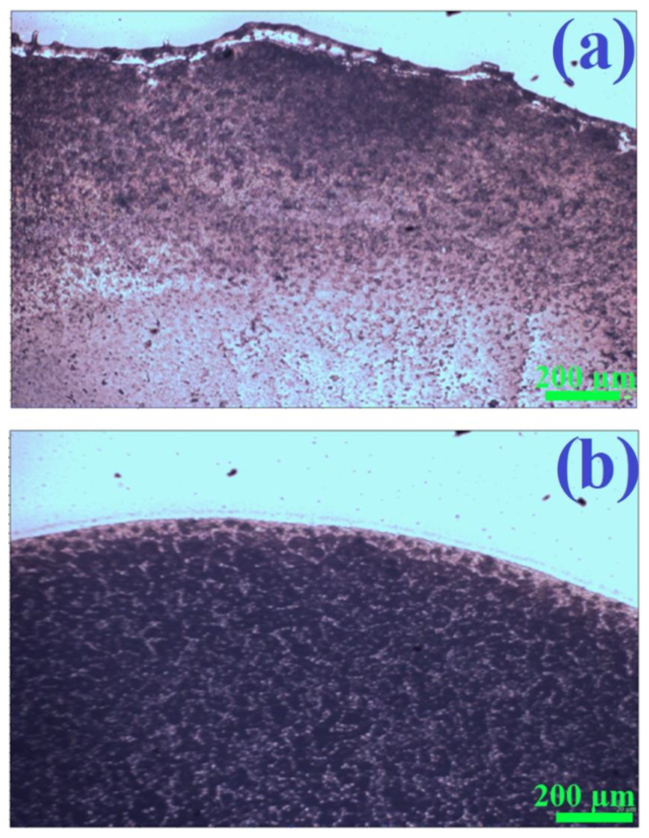 Molecules 27 03081 g006