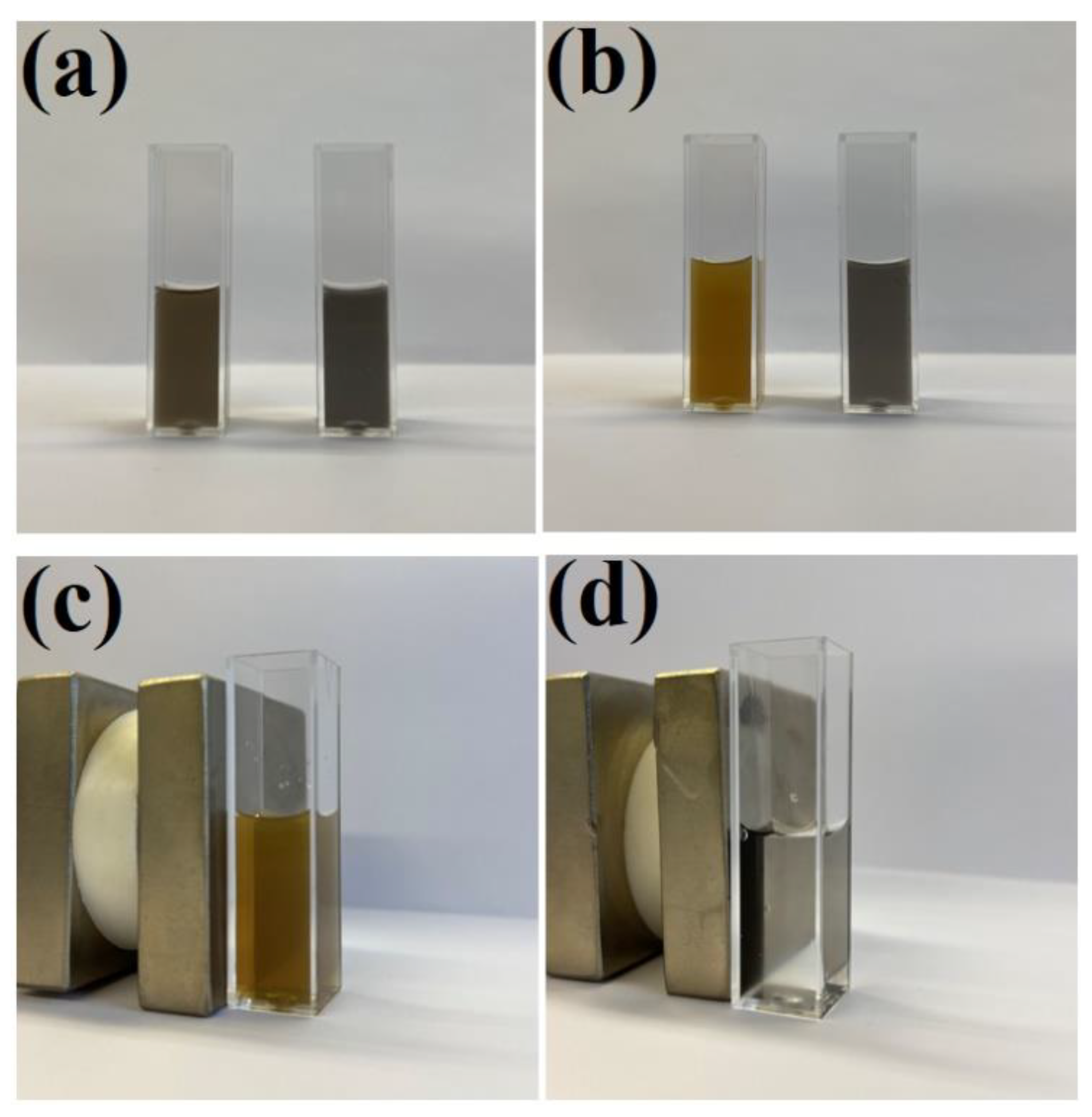 Molecules 27 03081 g008