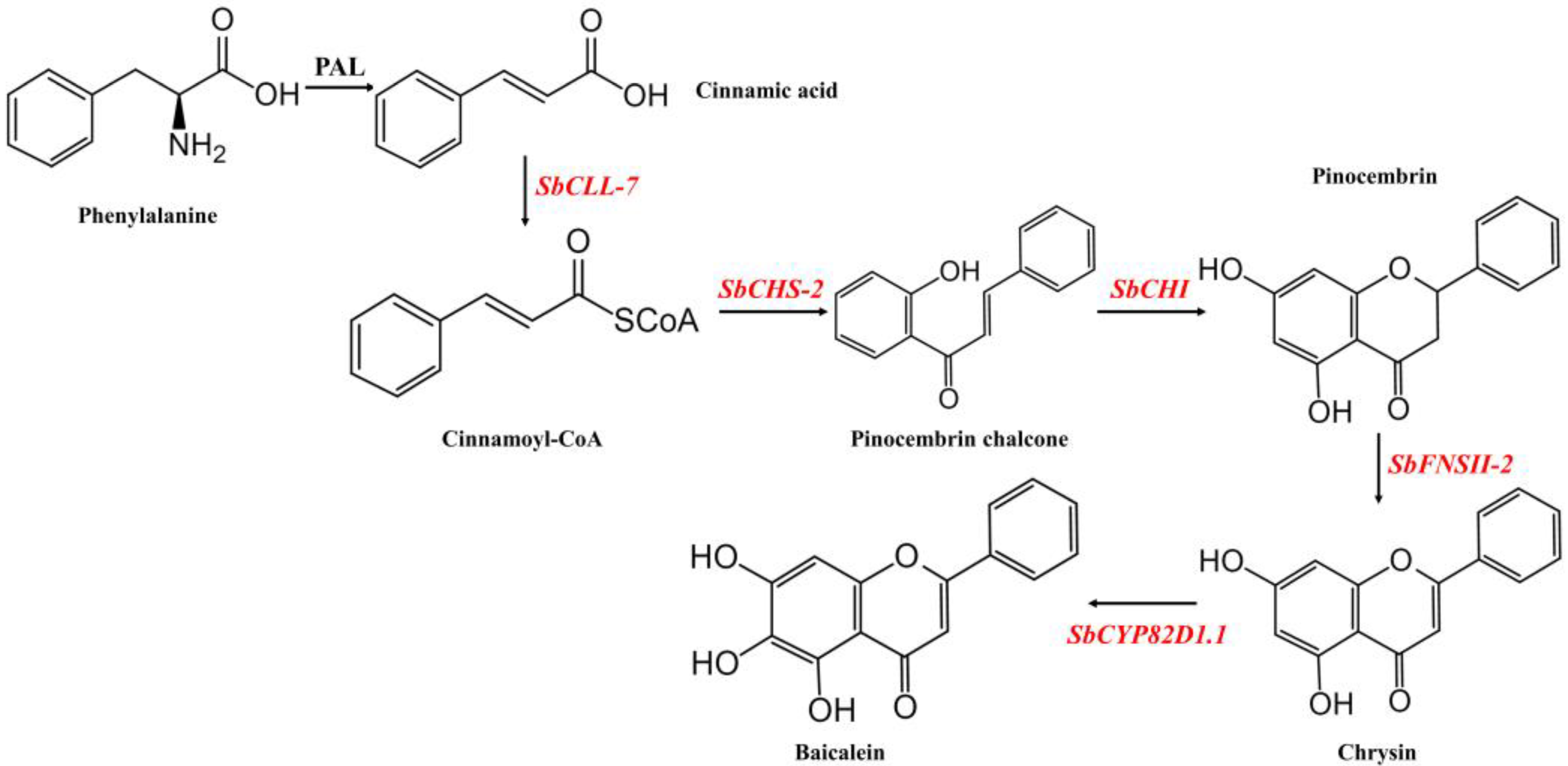 Molecules 27 03086 g001 Molecules 27 03086 g001