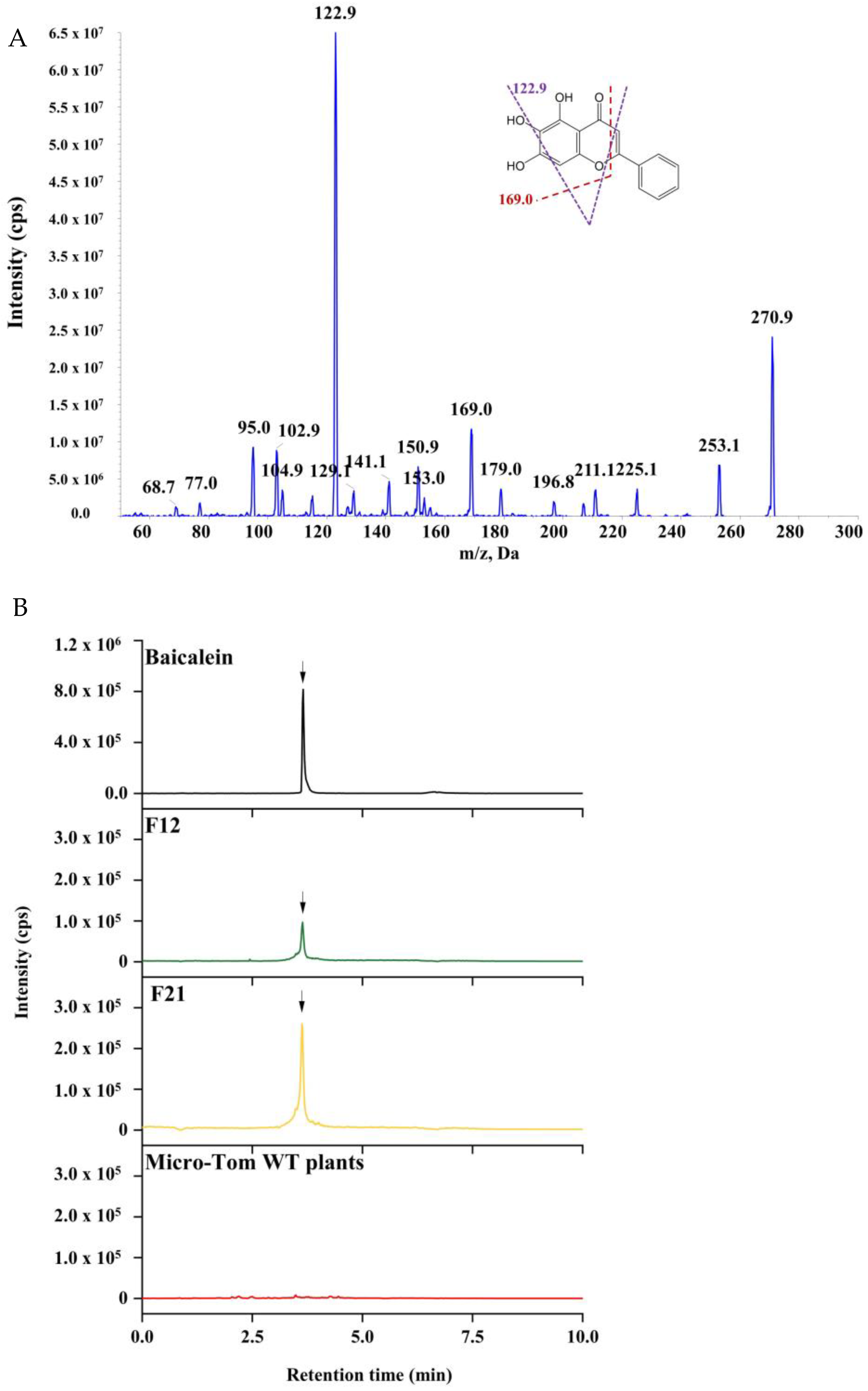 Molecules 27 03086 g004 Molecules 27 03086 g004
