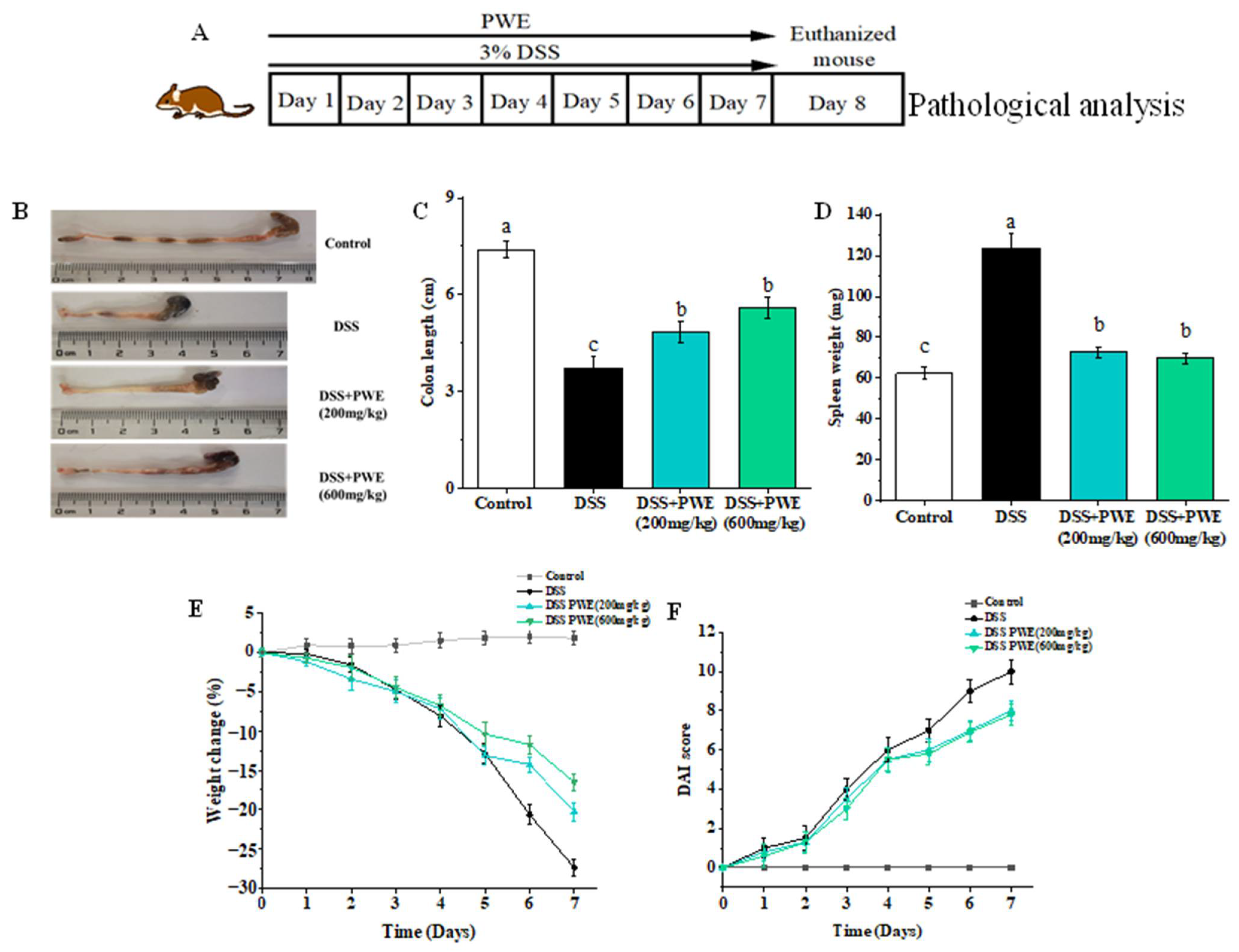 Molecules 27 03093 g004