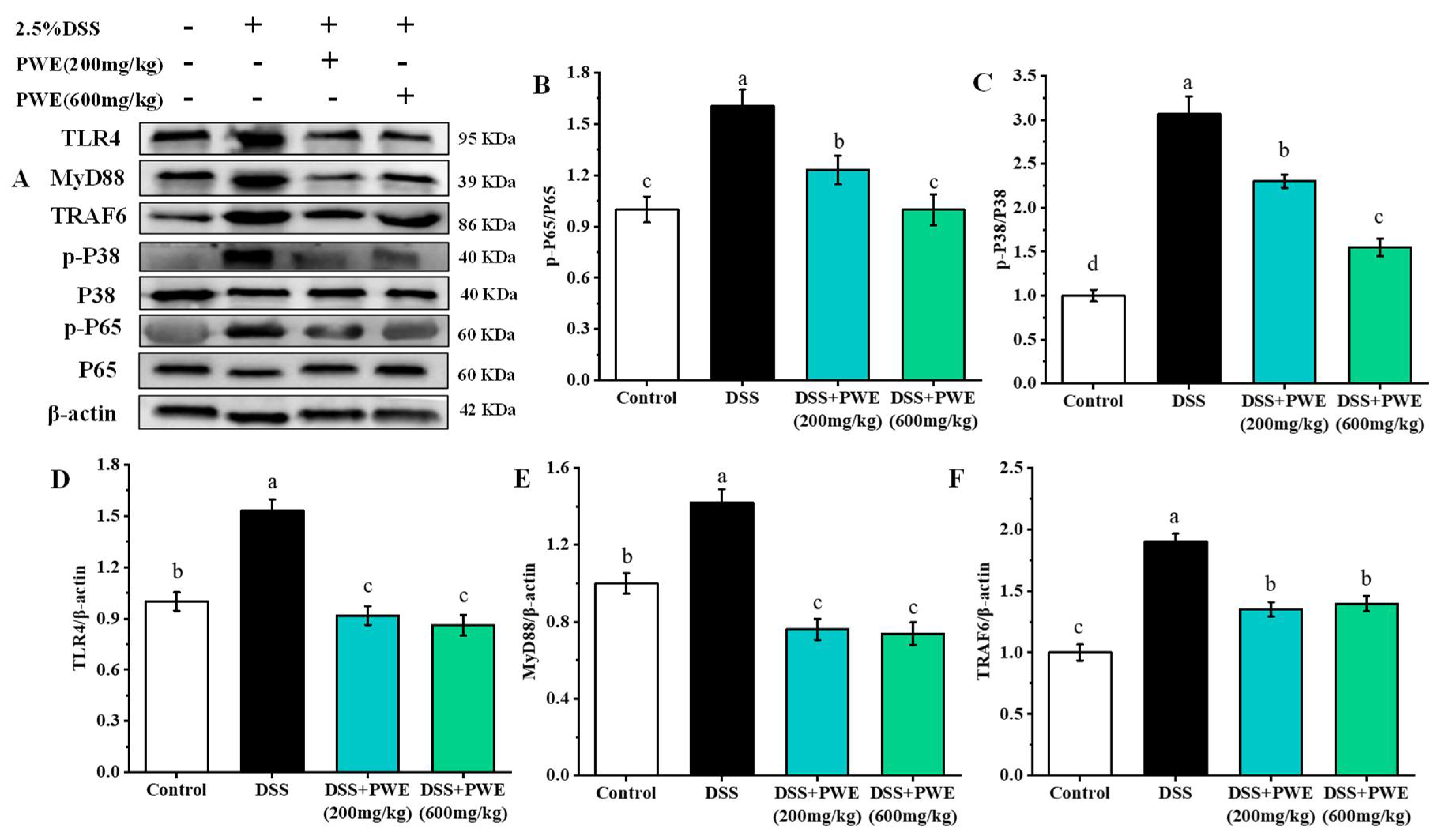 Molecules 27 03093 g006