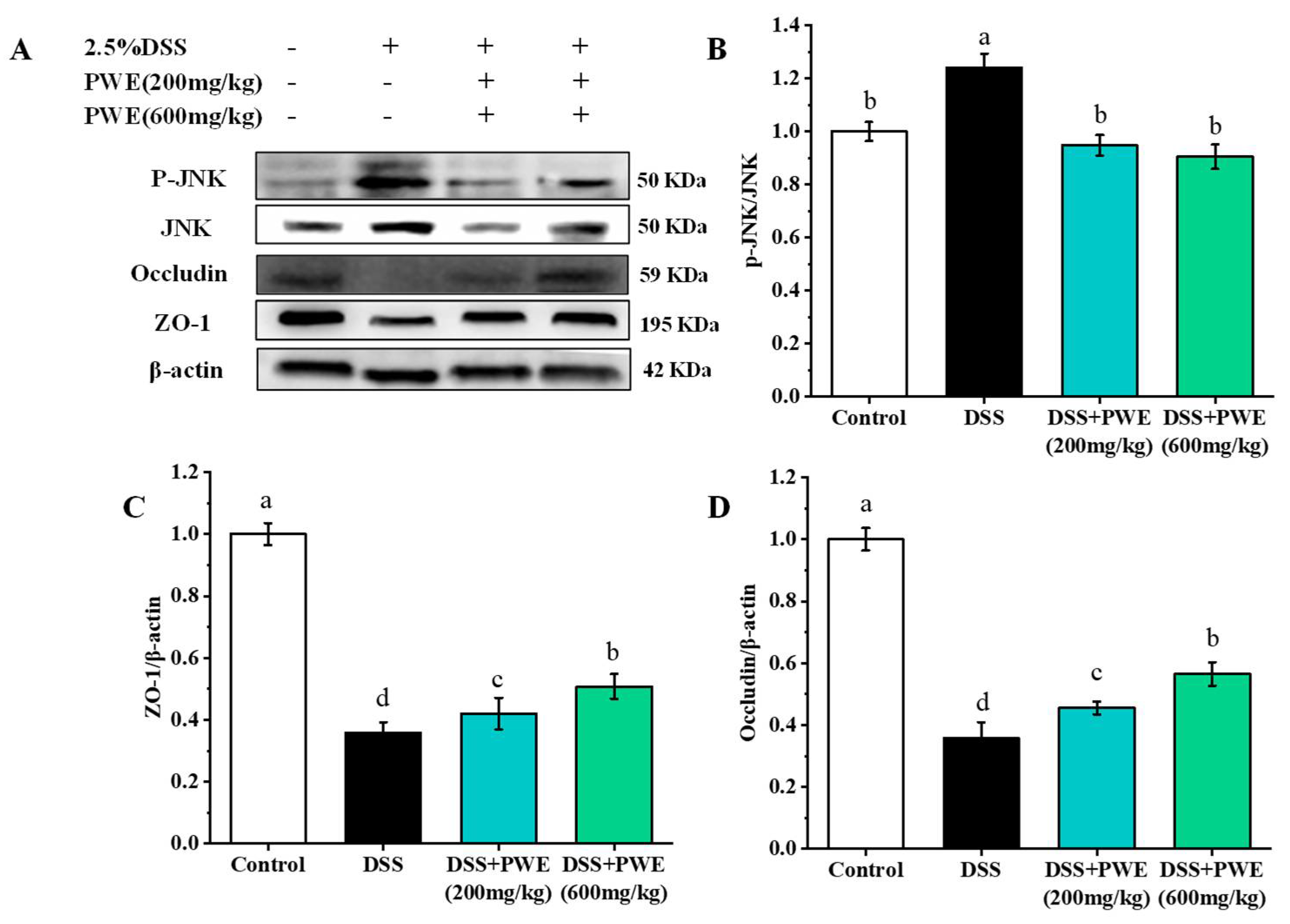Molecules 27 03093 g008