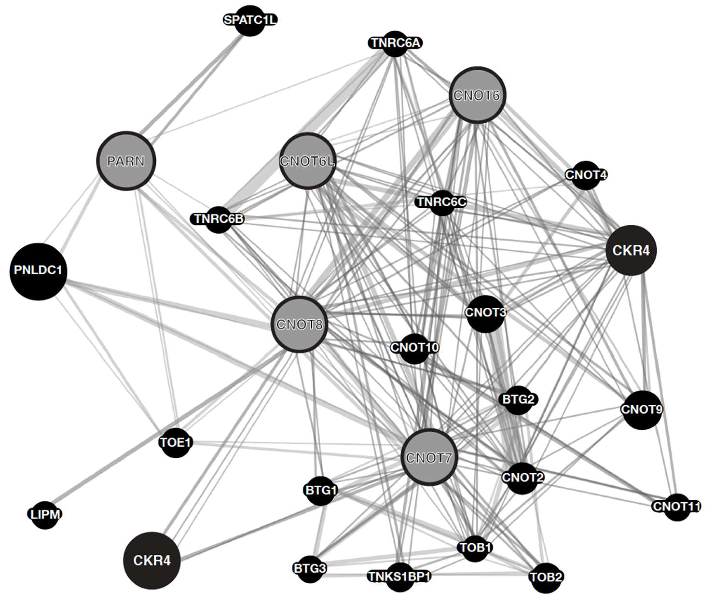 Molecules 27 03102 g001