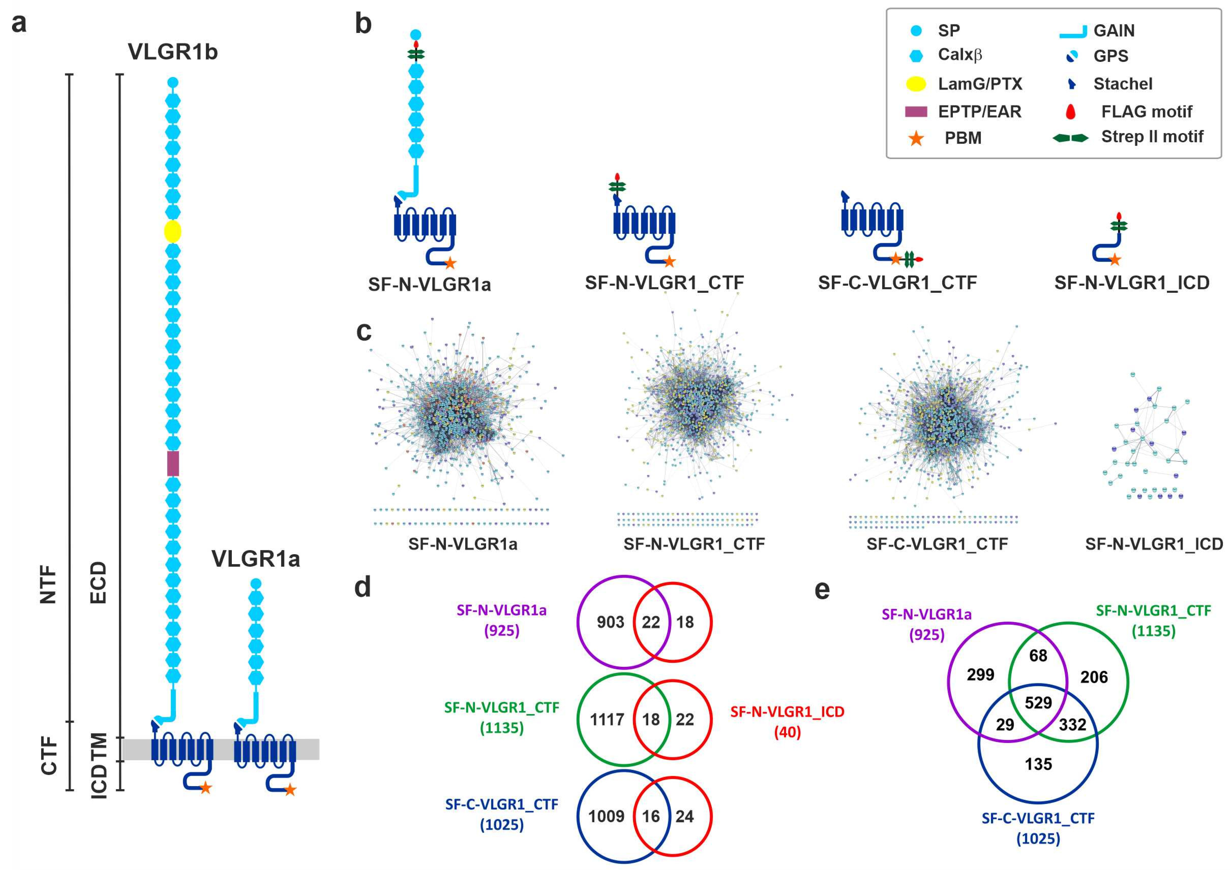 Molecules 27 03108 g001 Molecules 27 03108 g001