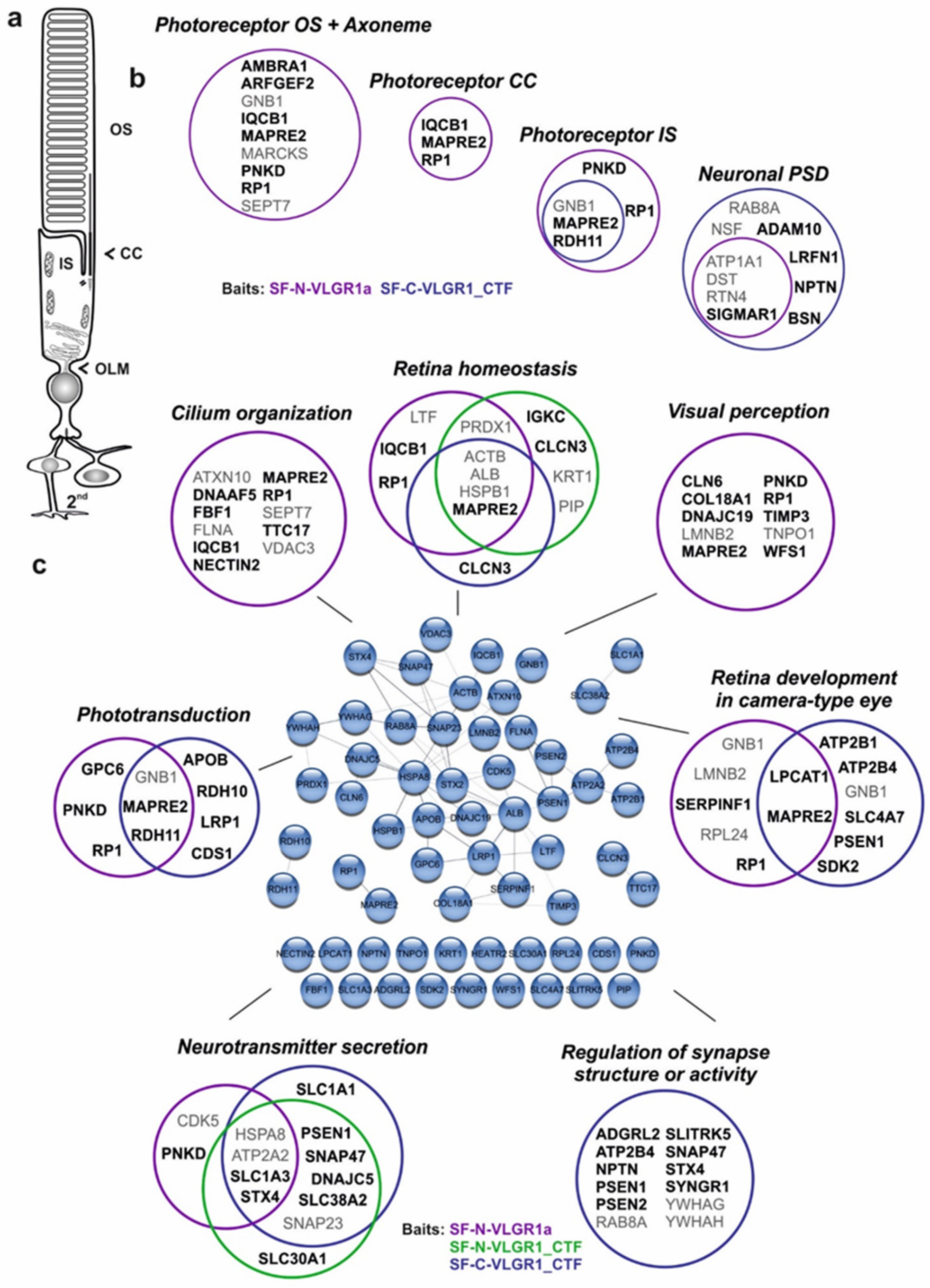 Molecules 27 03108 g007 Molecules 27 03108 g007