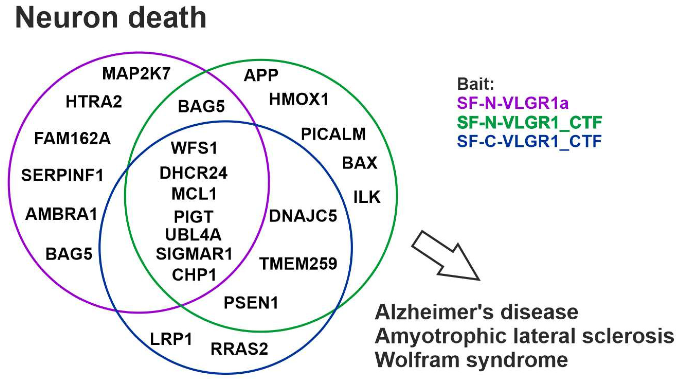 Molecules 27 03108 g008 Molecules 27 03108 g008