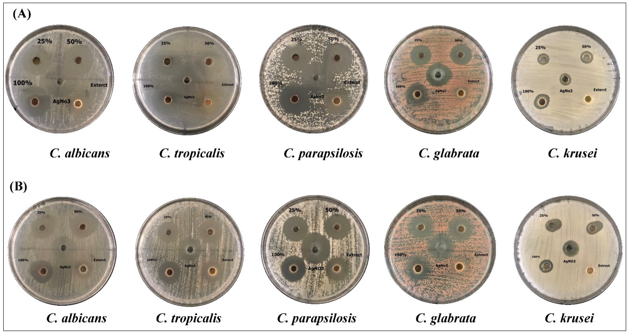 Molecules 27 03113 g004