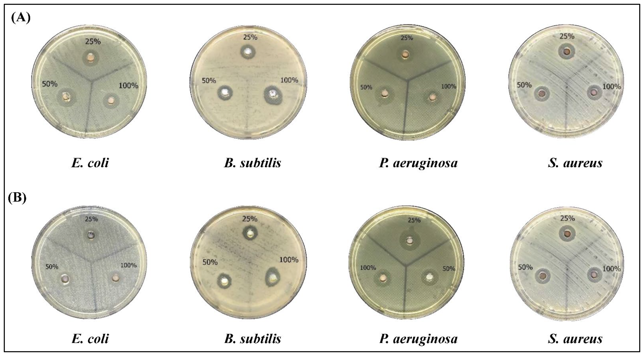 Molecules 27 03113 g006