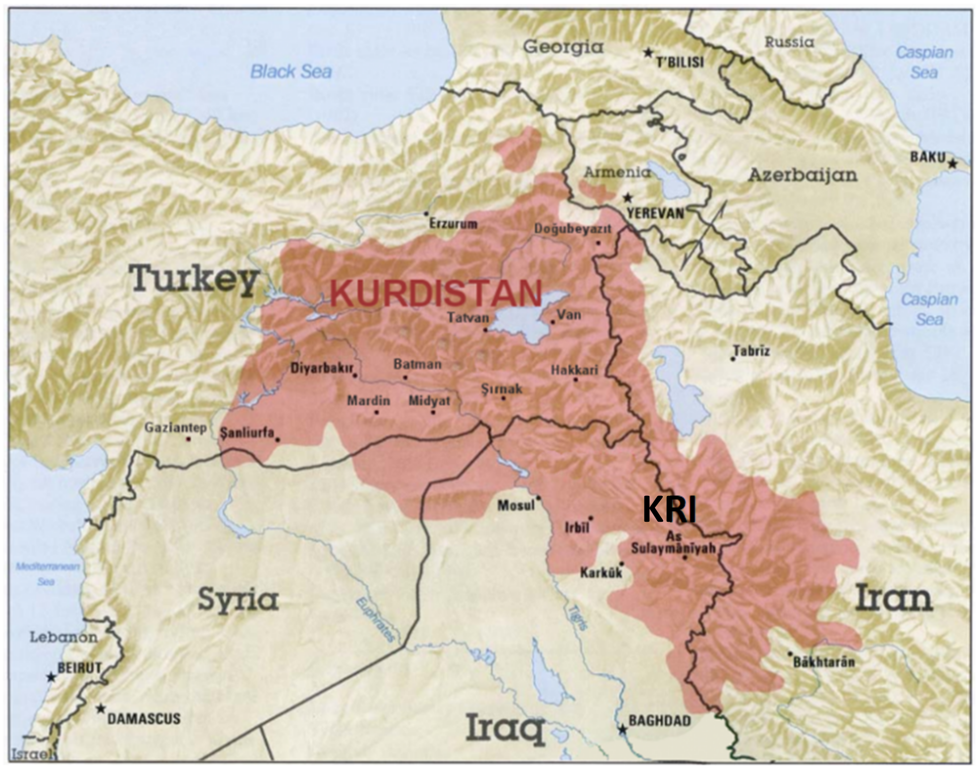 Molecules 27 03116 g001 Molecules 27 03116 g001