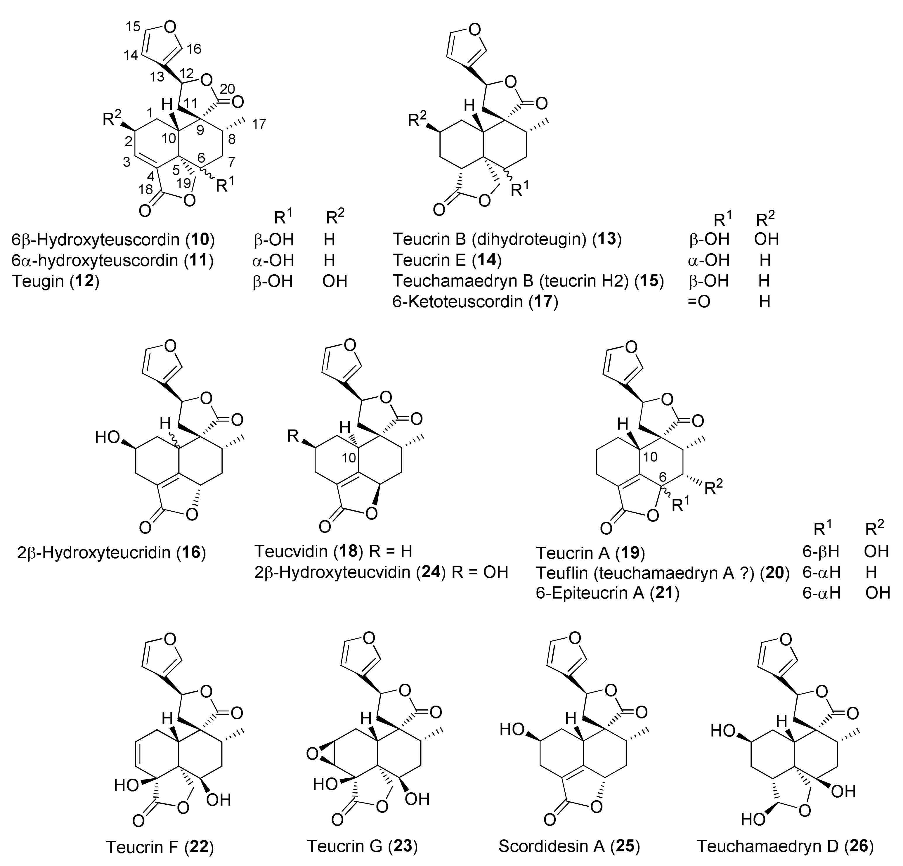 Molecules 27 03116 g003 Molecules 27 03116 g003