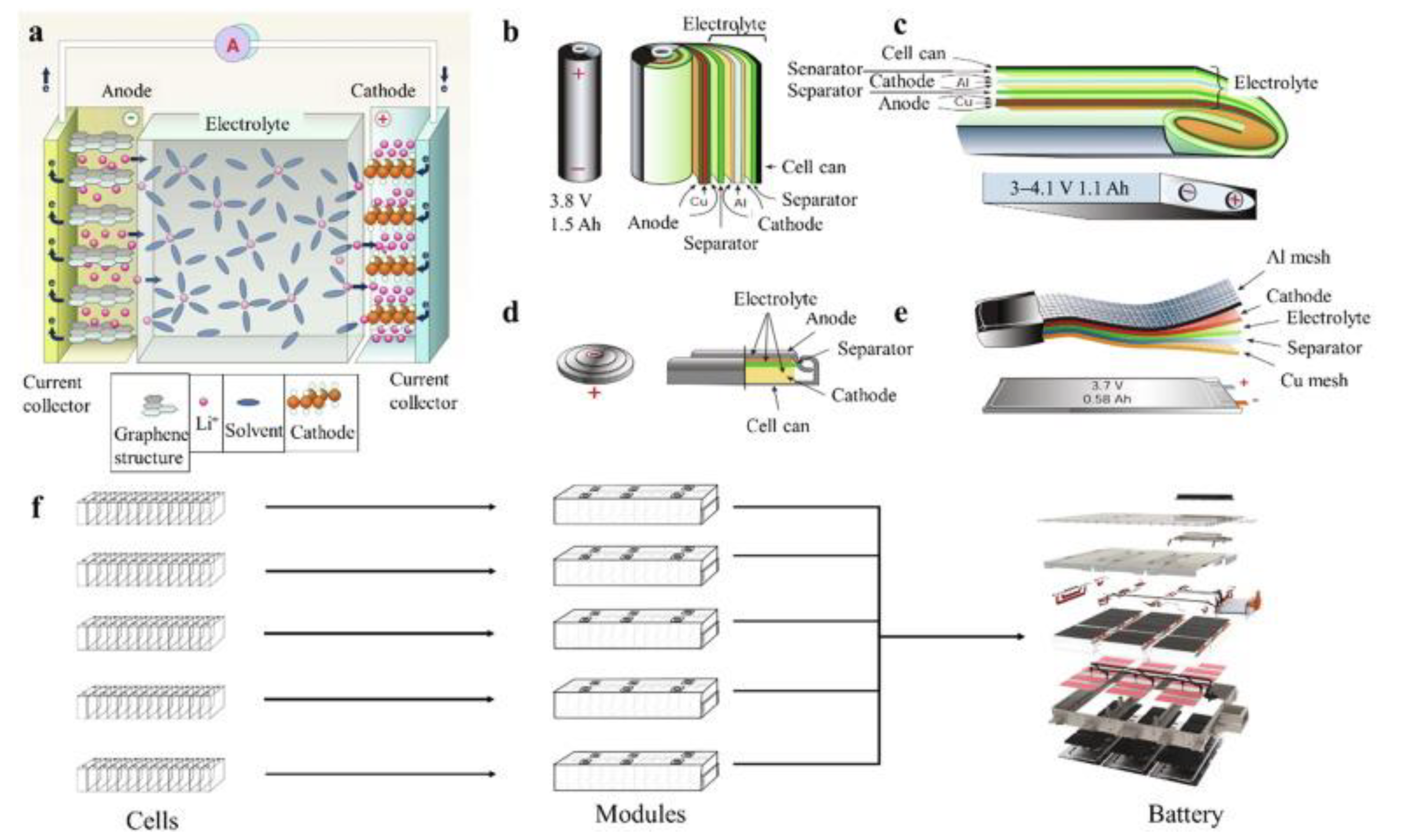 Molecules 27 03119 g001