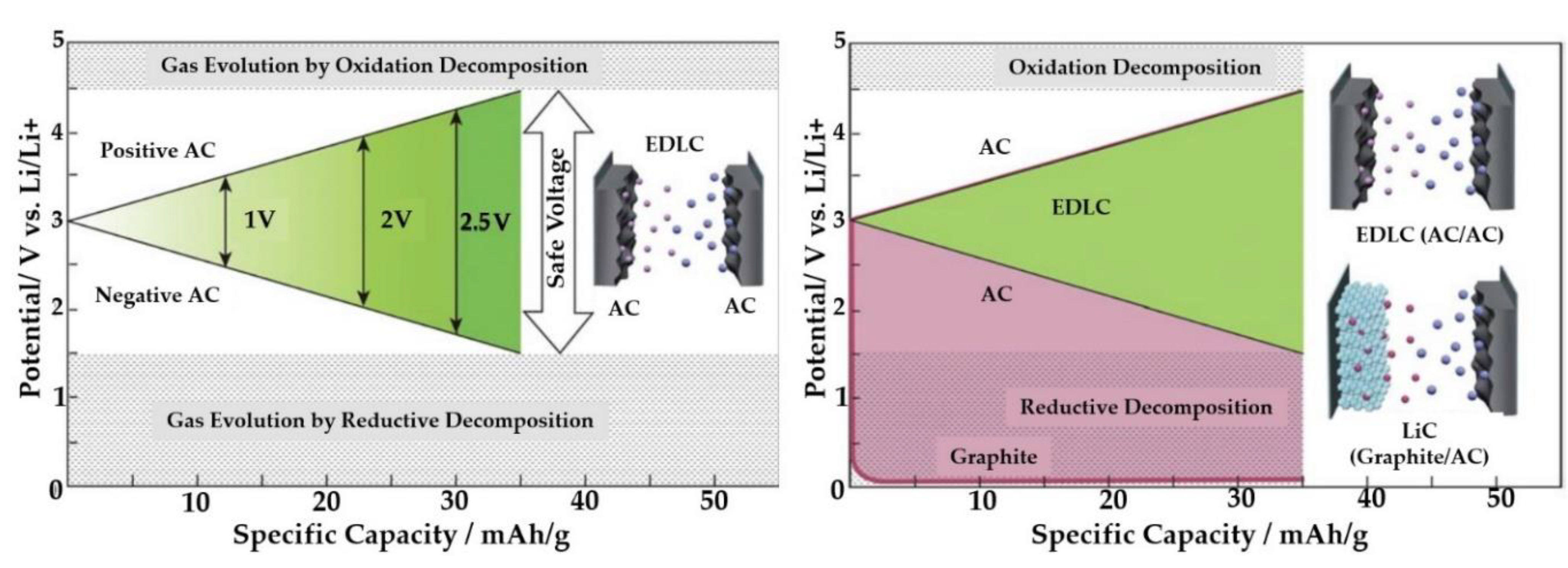 Molecules 27 03119 g006