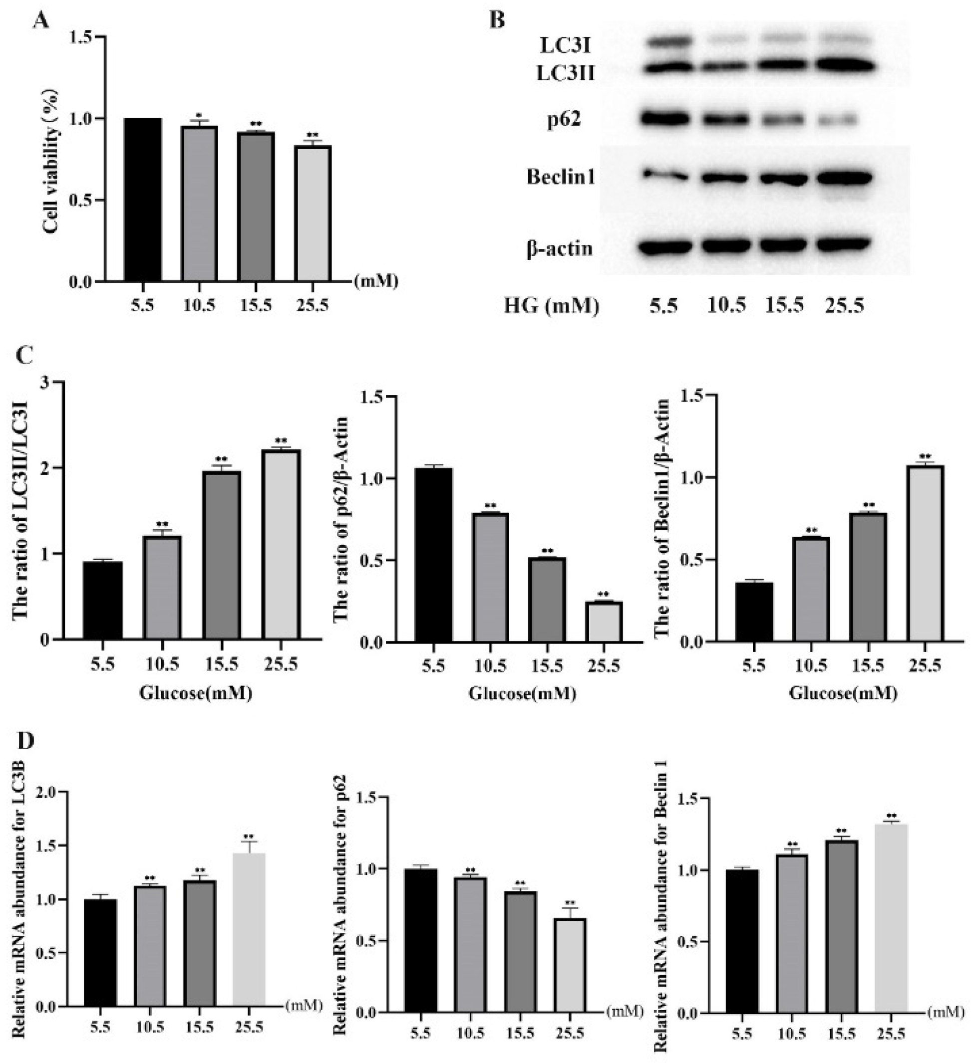 Molecules 27 03121 g001