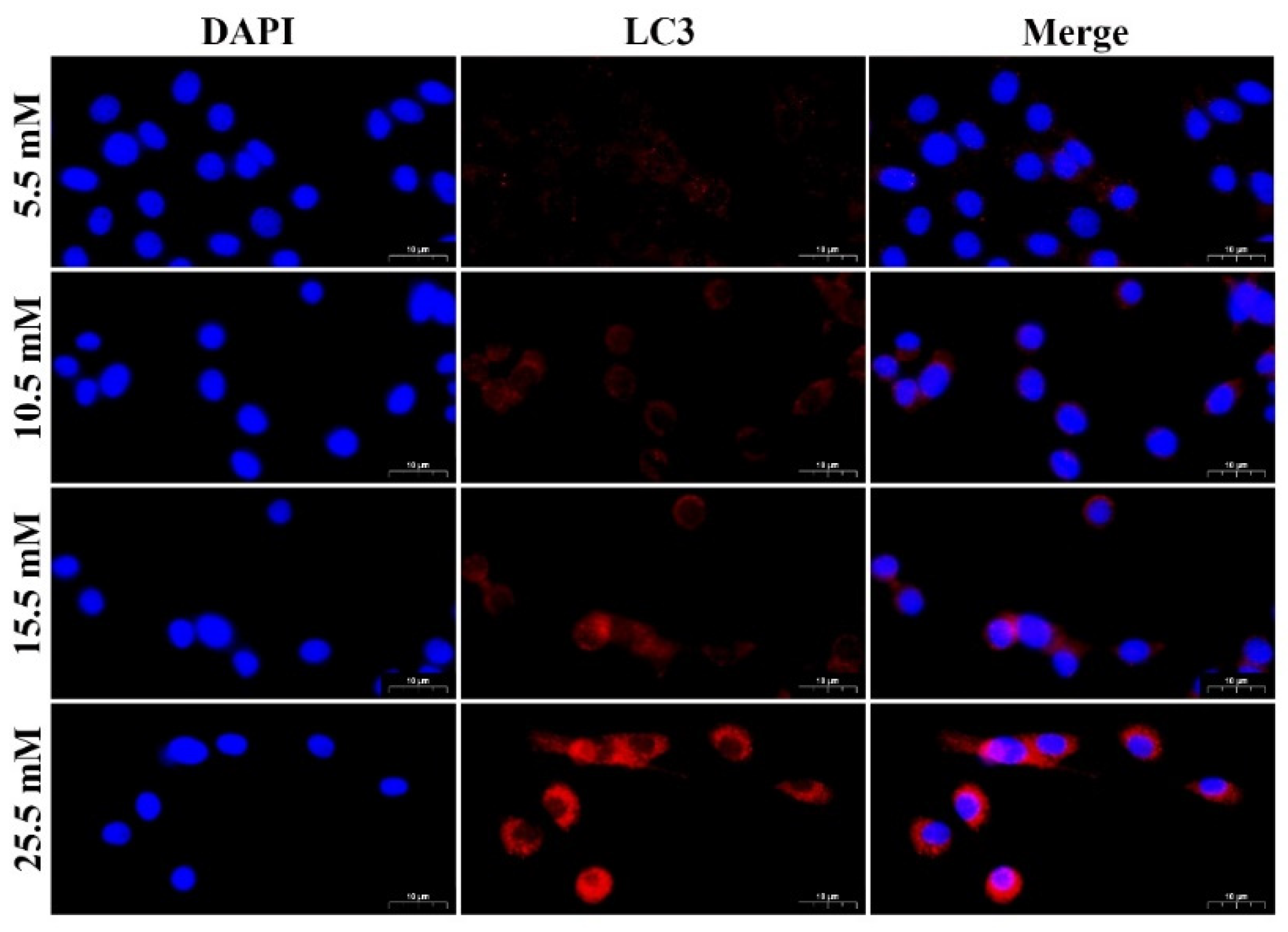 Molecules 27 03121 g002