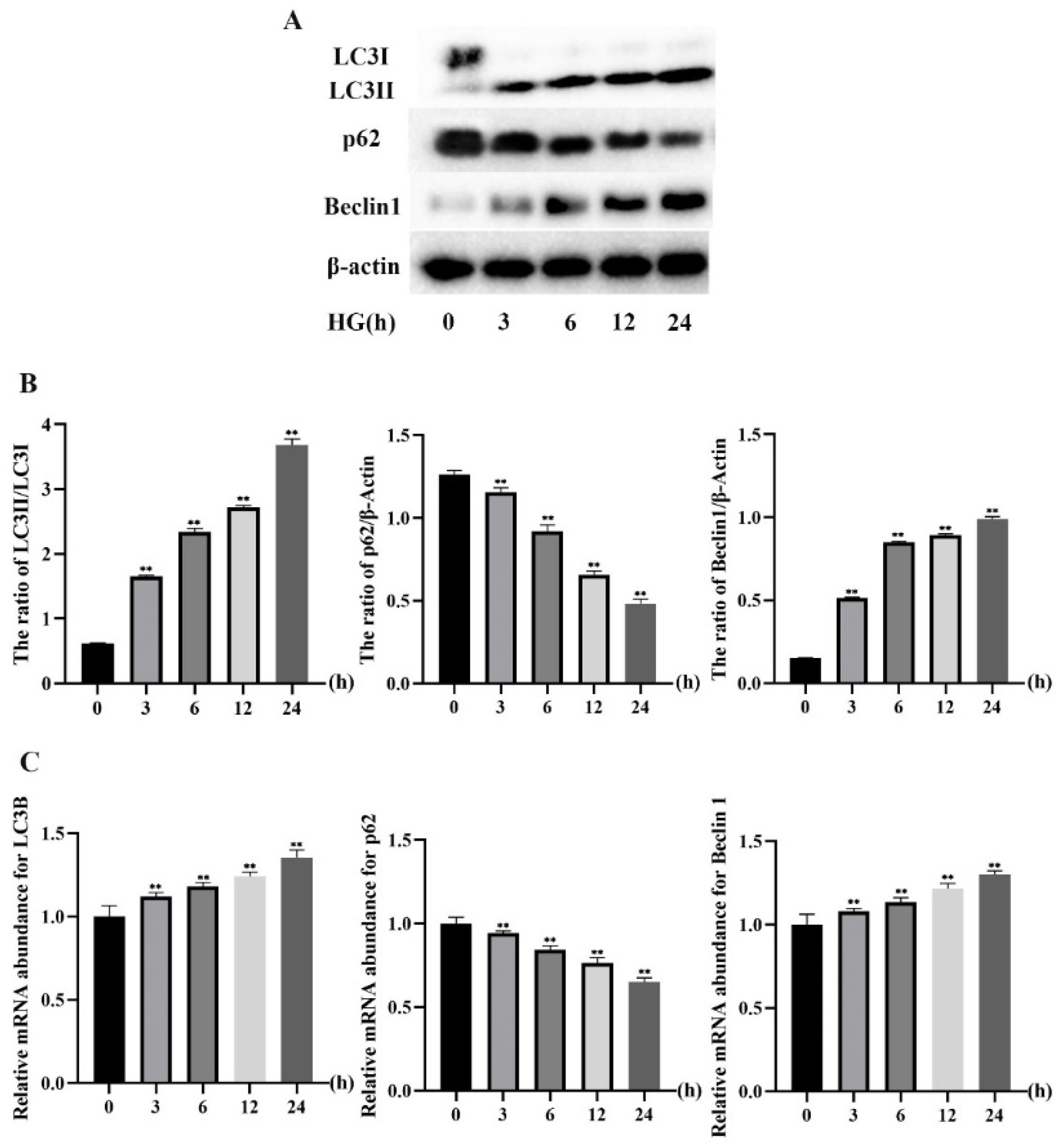 Molecules 27 03121 g003