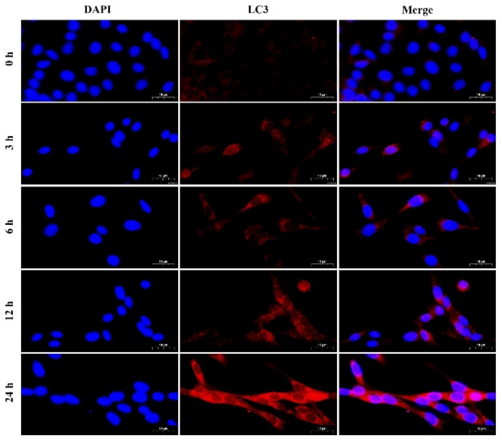 Molecules 27 03121 g004