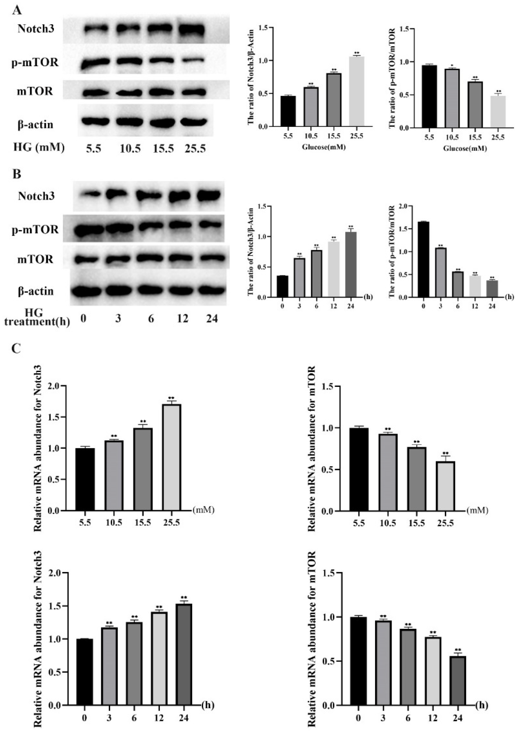 Molecules 27 03121 g005