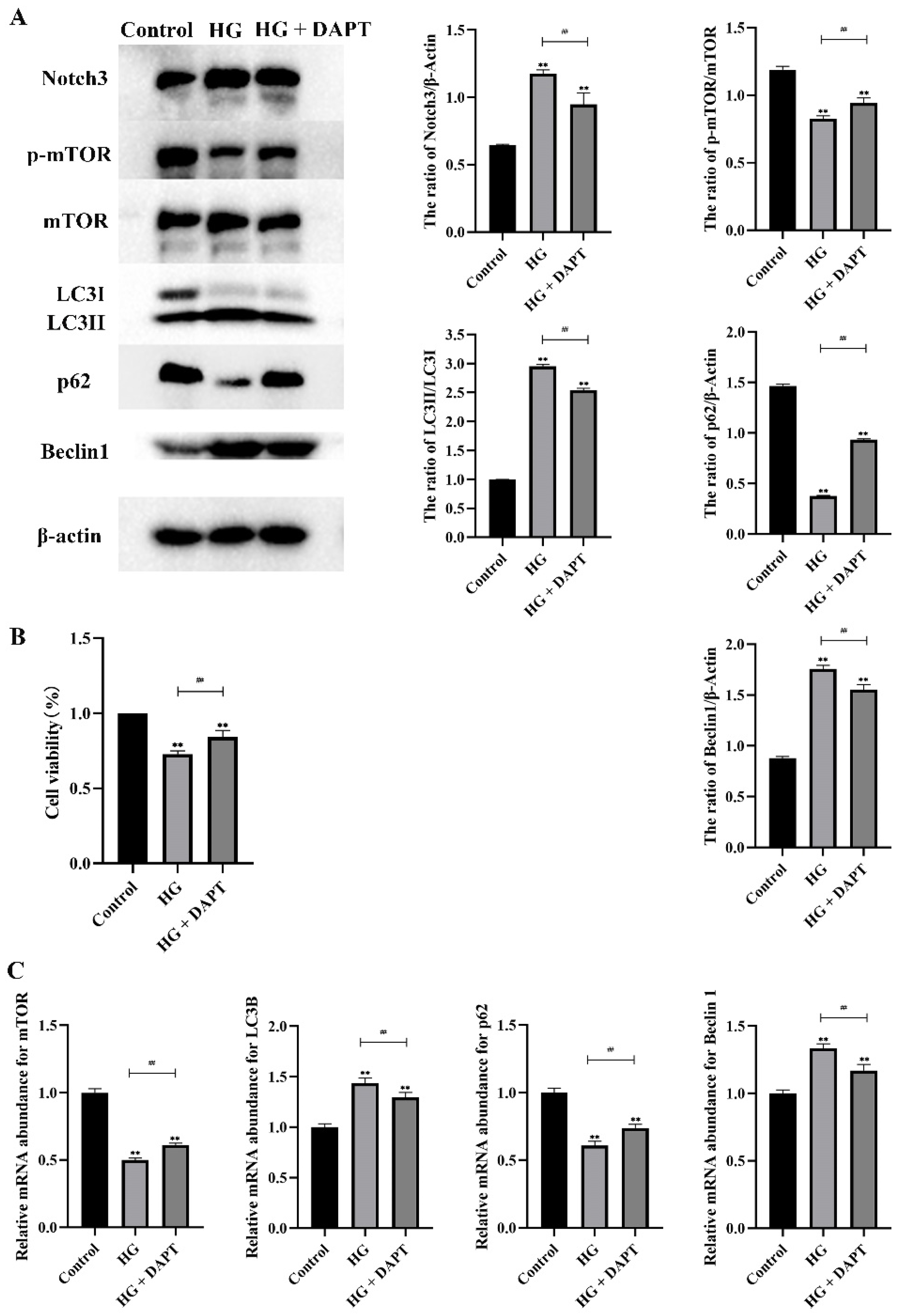 Molecules 27 03121 g006