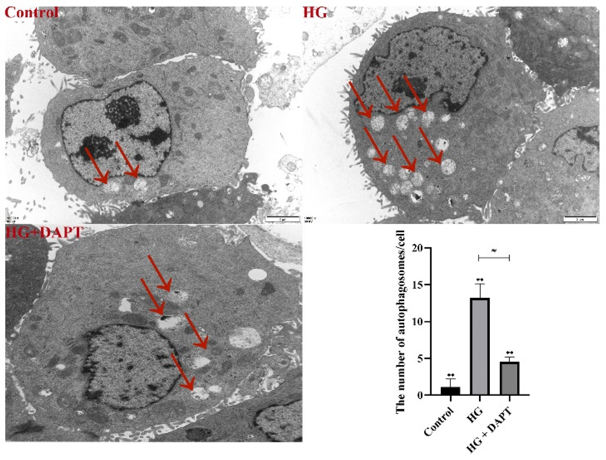 Molecules 27 03121 g007