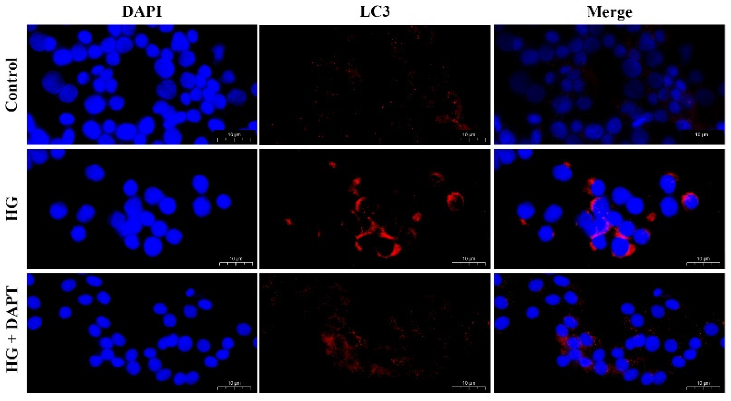 Molecules 27 03121 g008