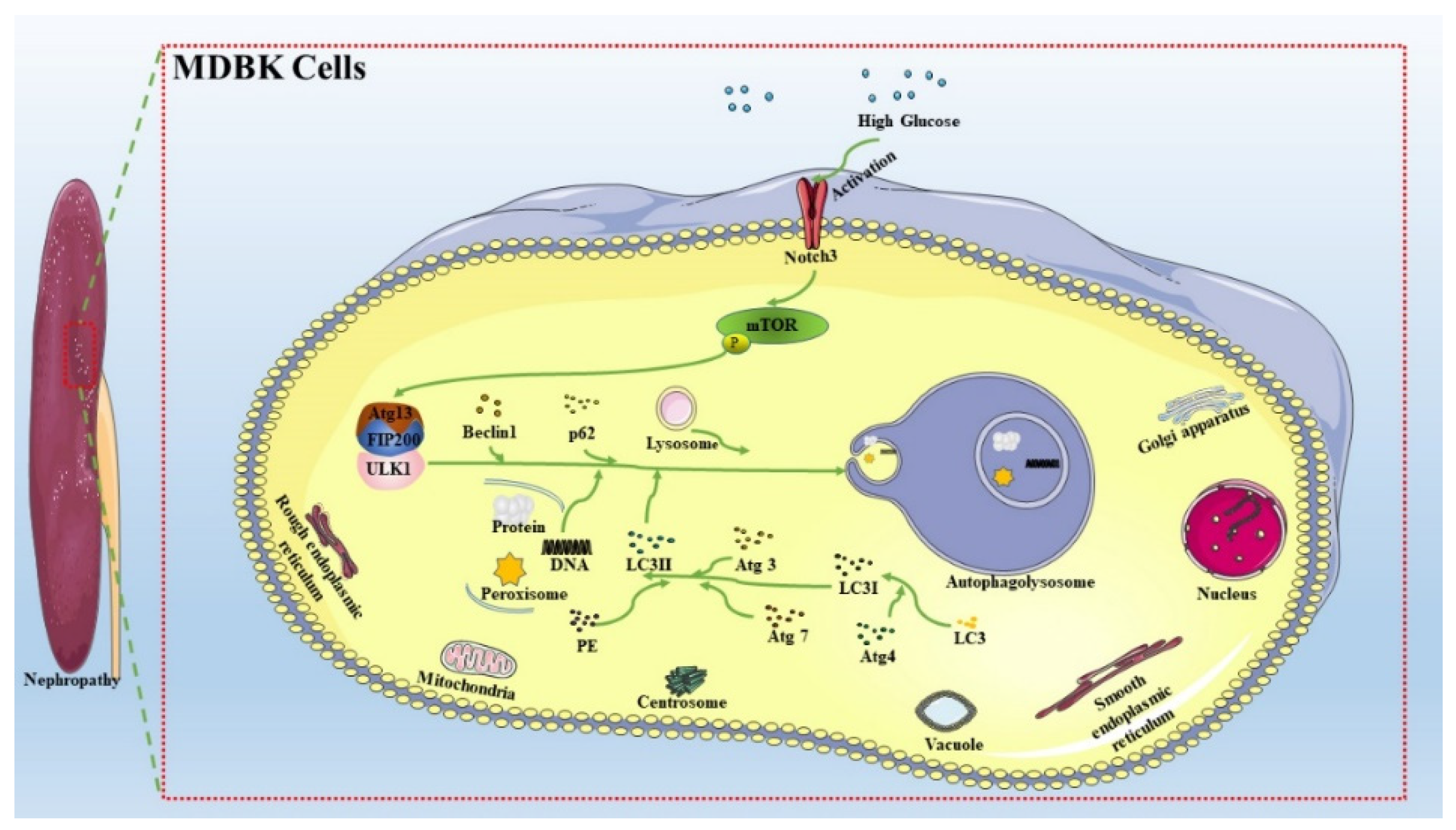 Molecules 27 03121 g009