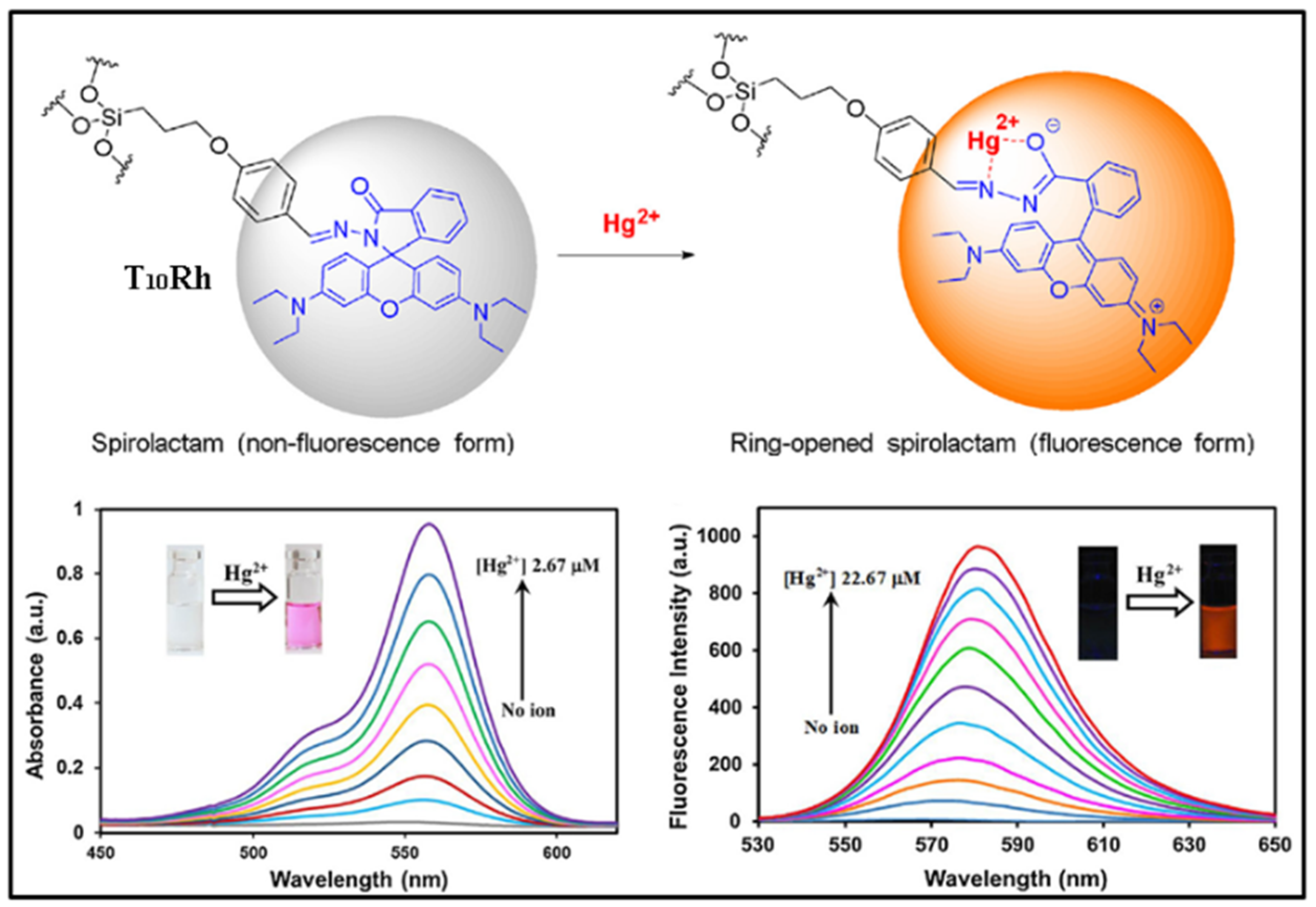 Molecules 27 03137 g014 Molecules 27 03137 g014