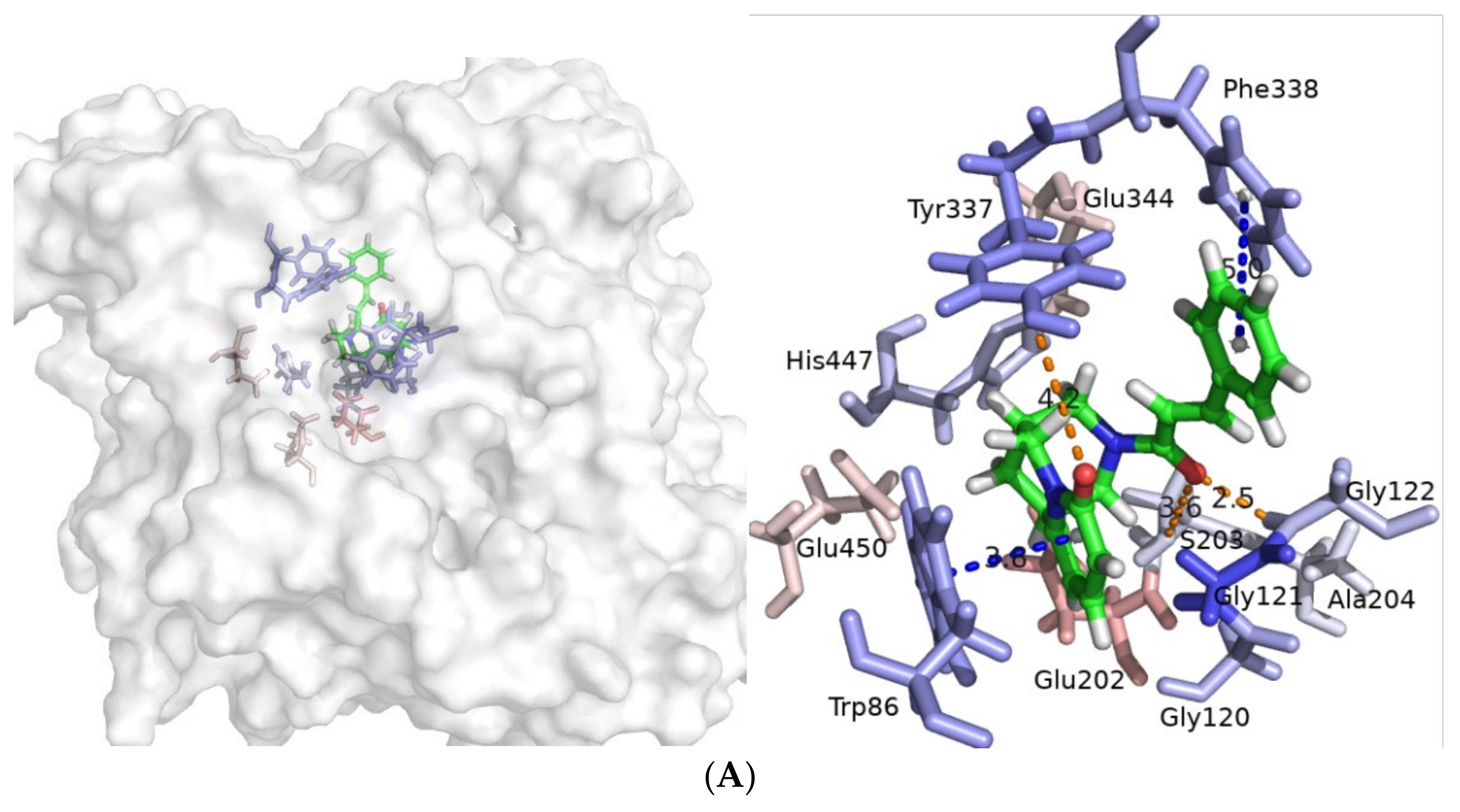 Molecules 27 03139 g005a