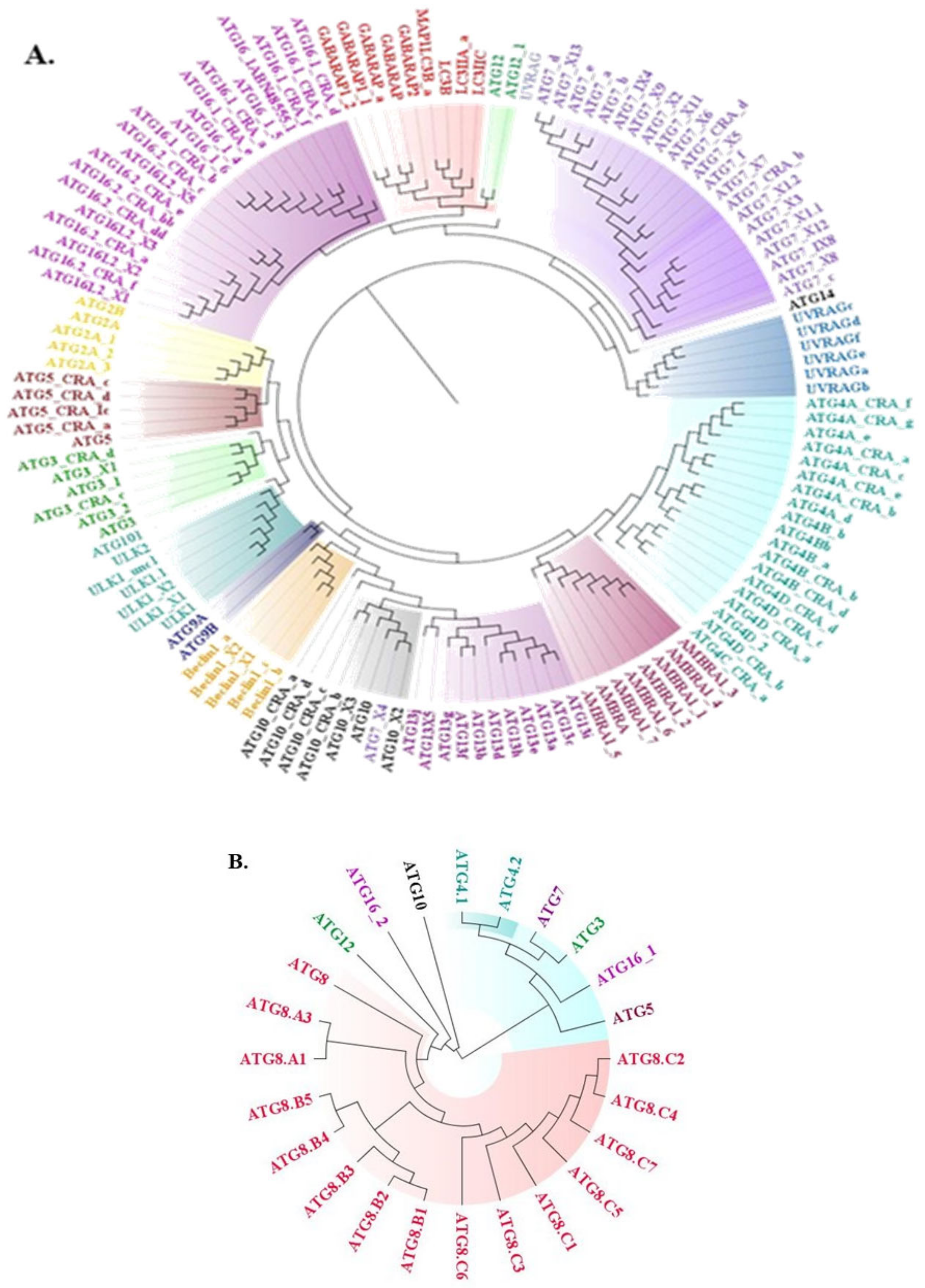 Molecules 27 03142 g001