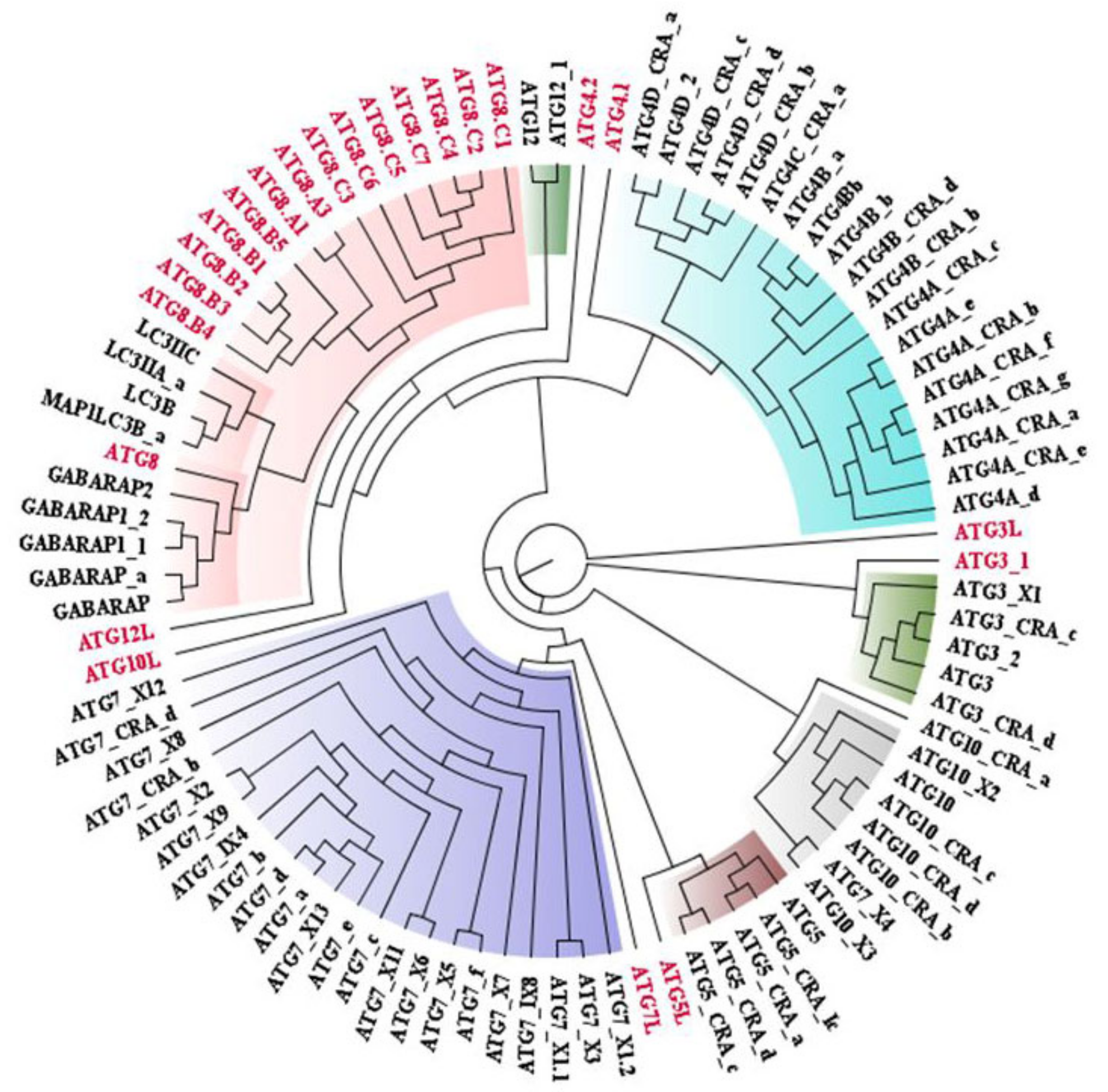 Molecules 27 03142 g002