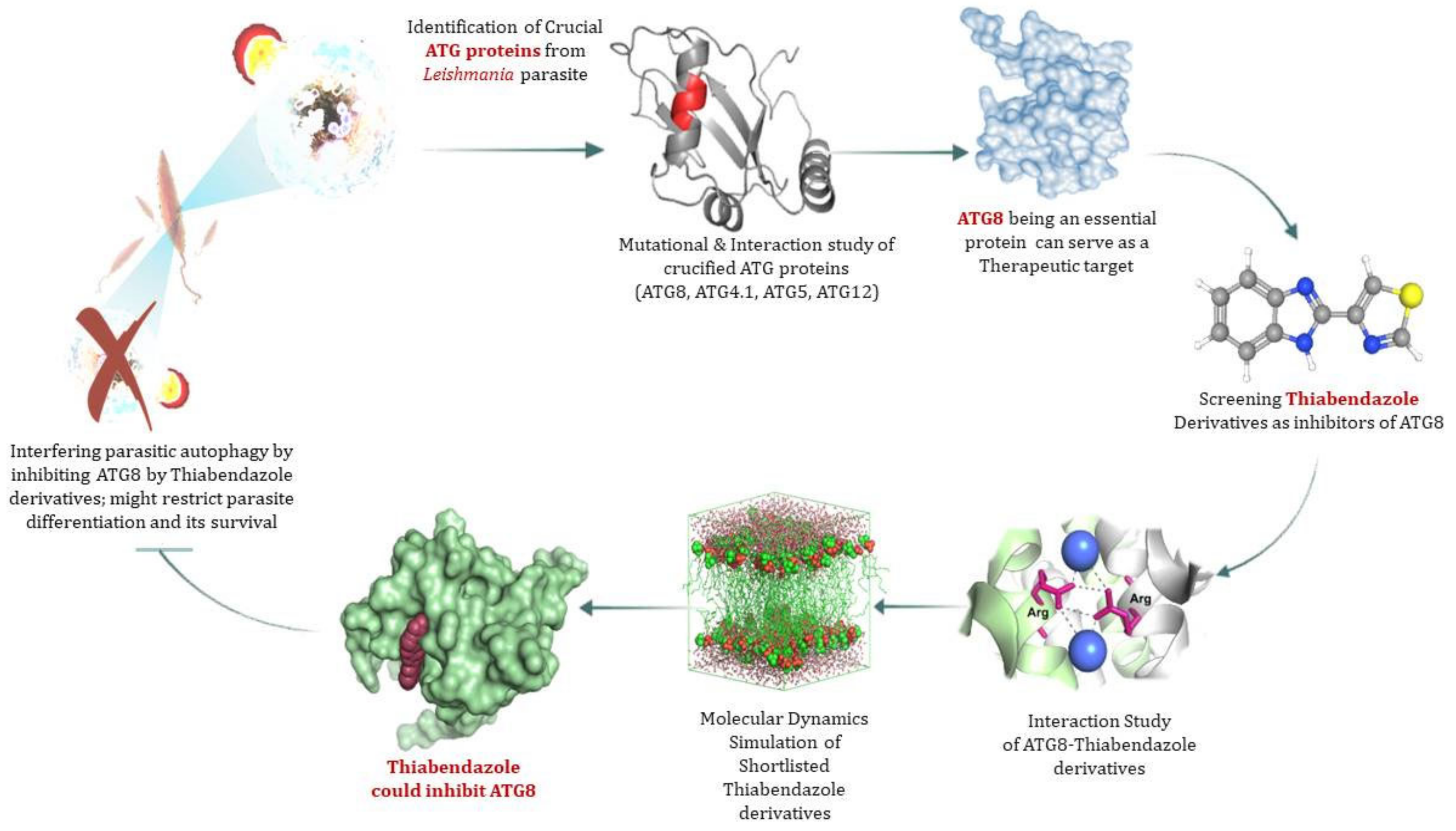 Molecules 27 03142 g007