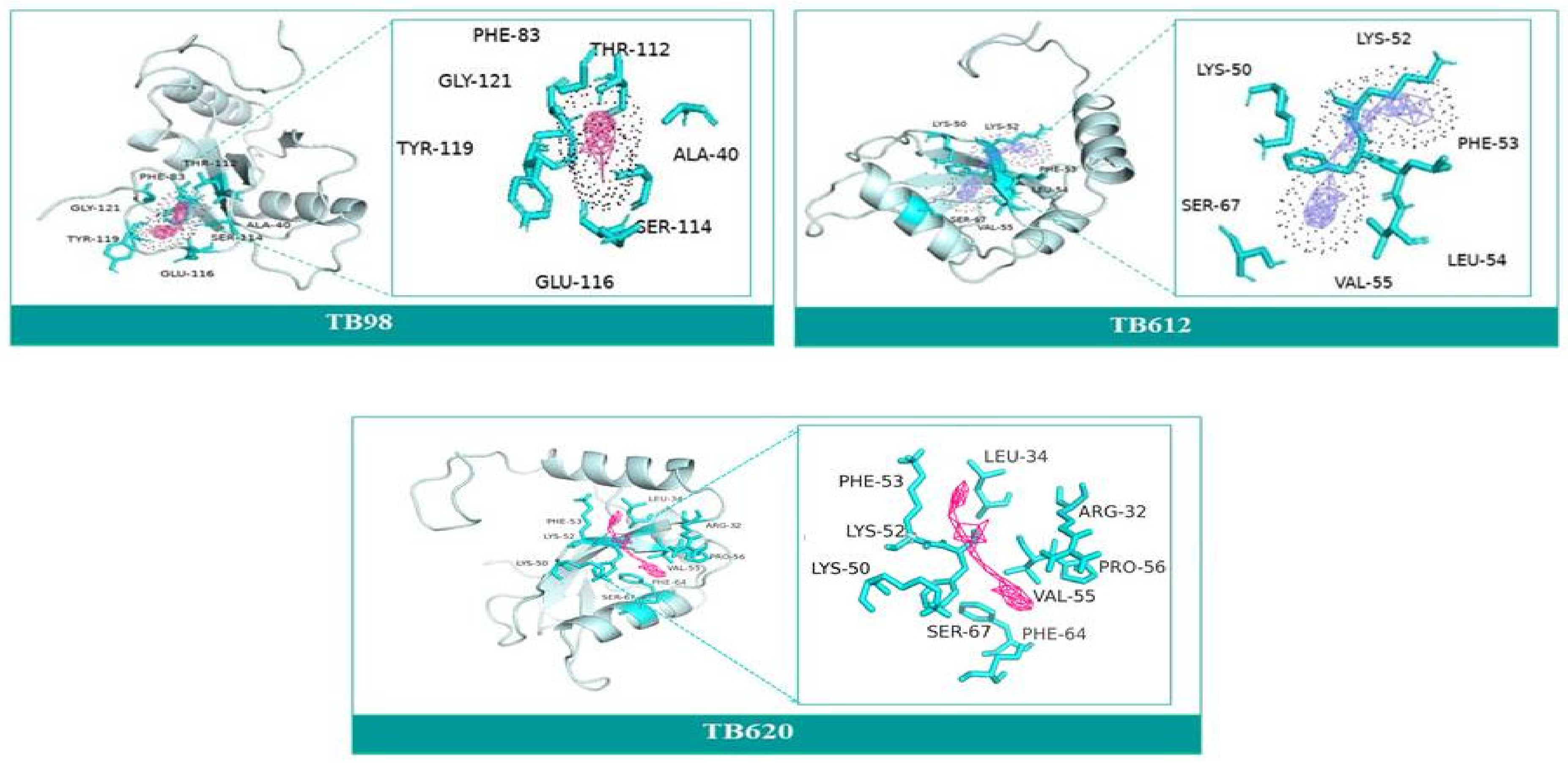 Molecules 27 03142 g008