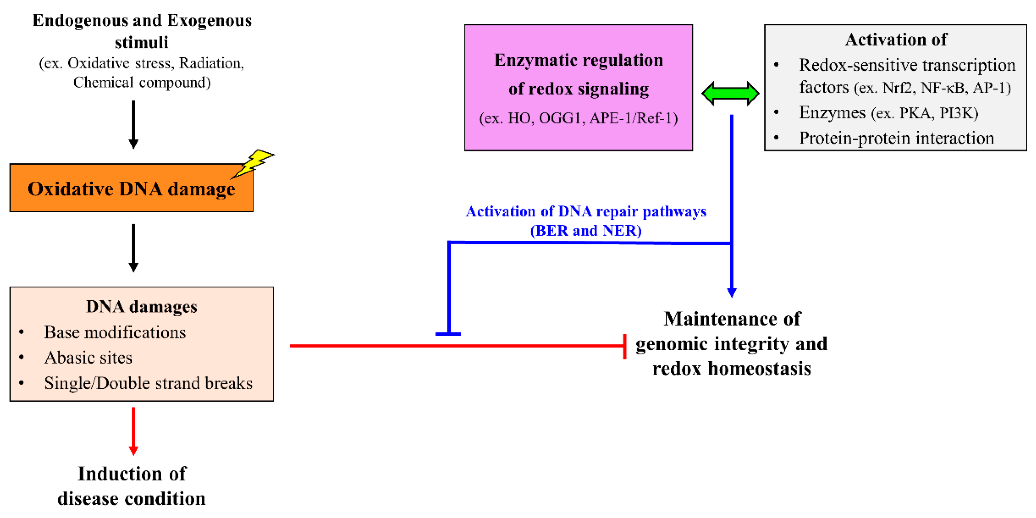 Molecules 27 03159 g001