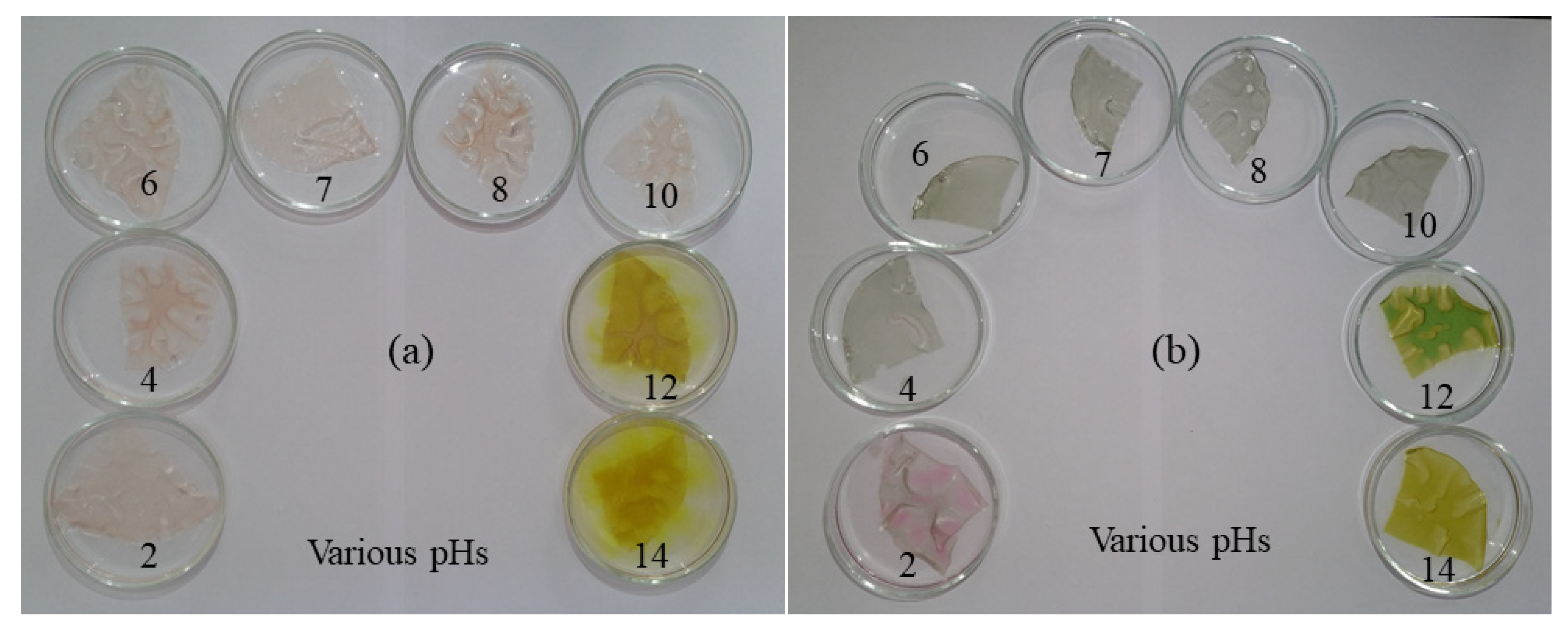 Molecules 27 03168 g002