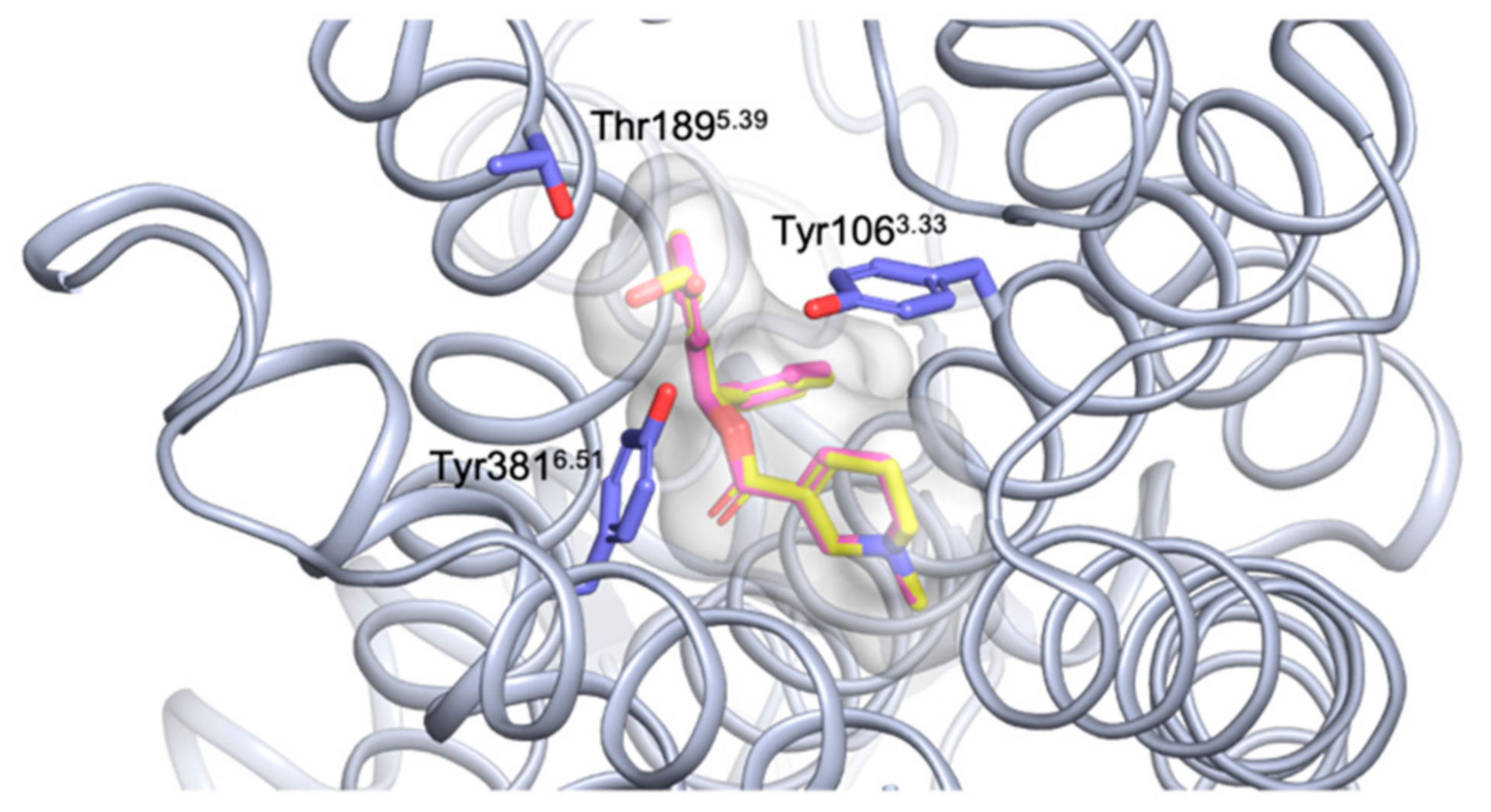 Molecules 27 03173 g004