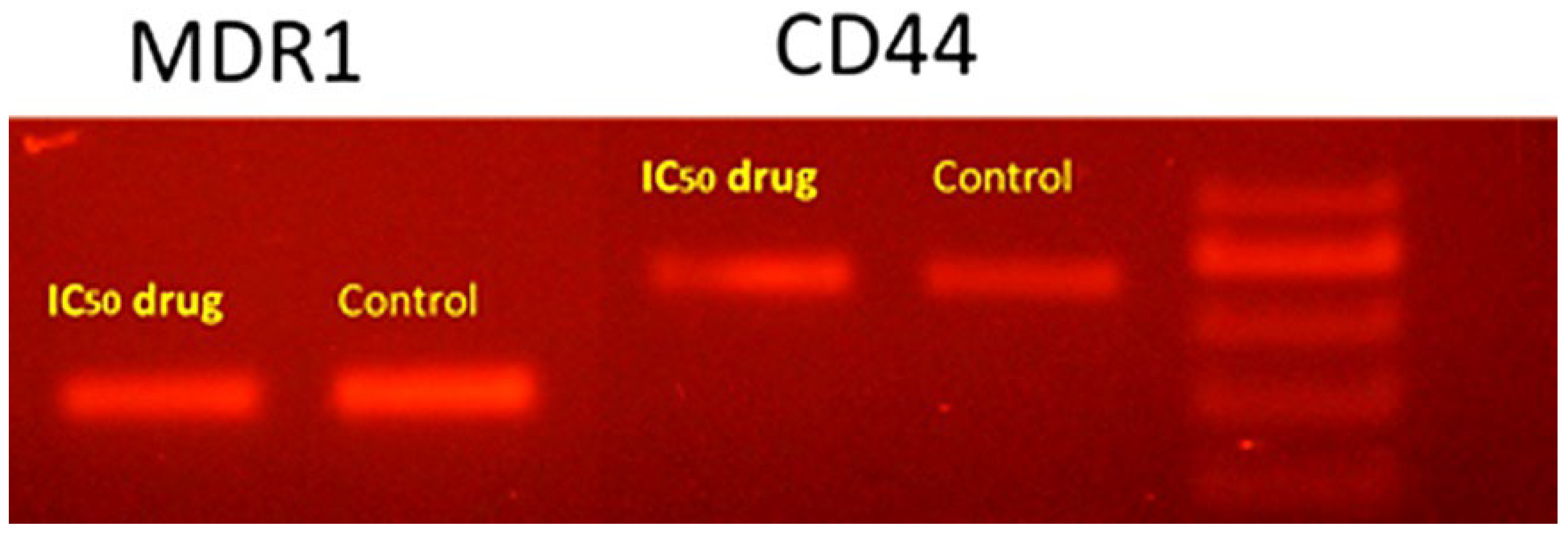 Molecules 27 03177 g004 Molecules 27 03177 g004