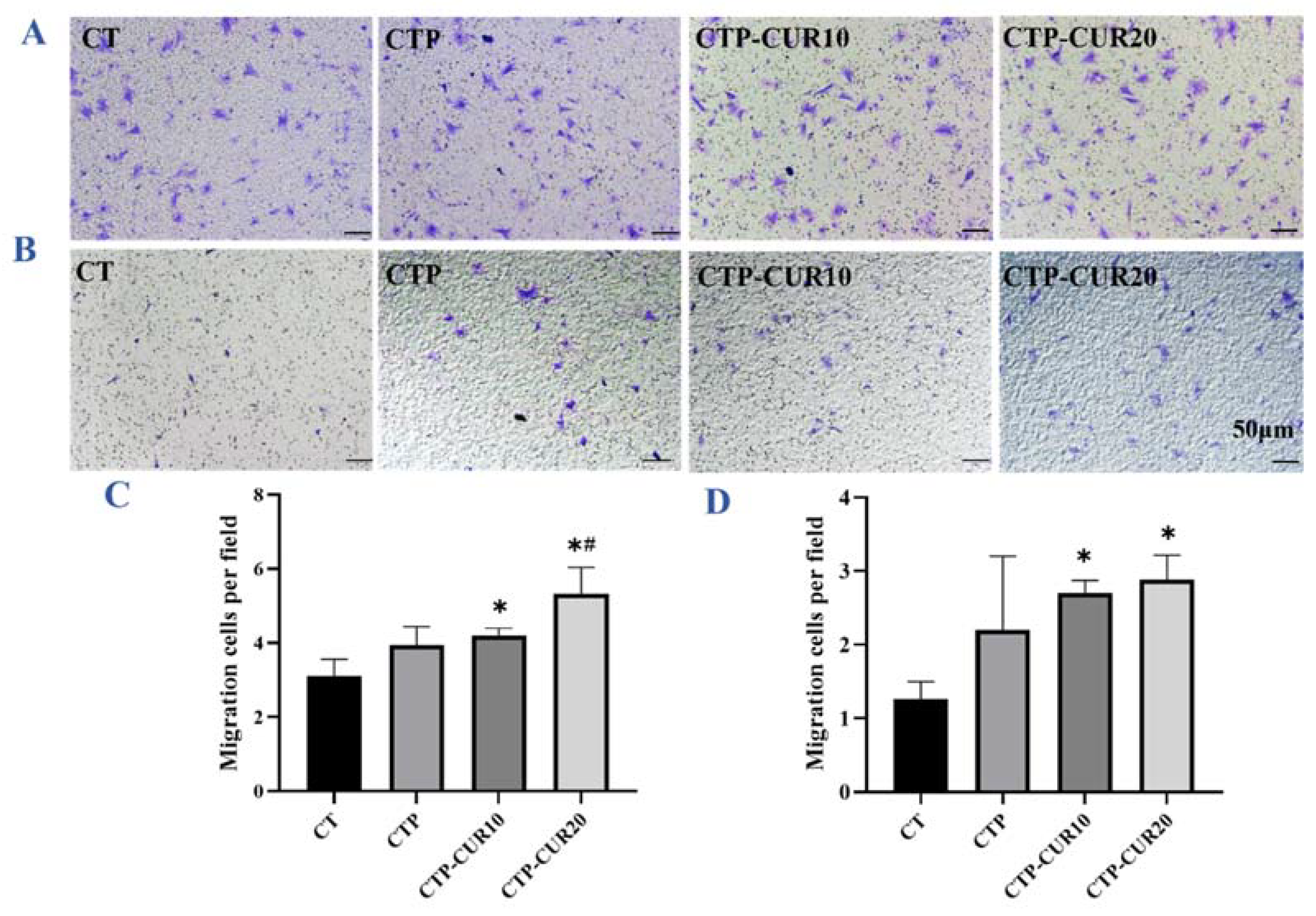 Molecules 27 03205 g004