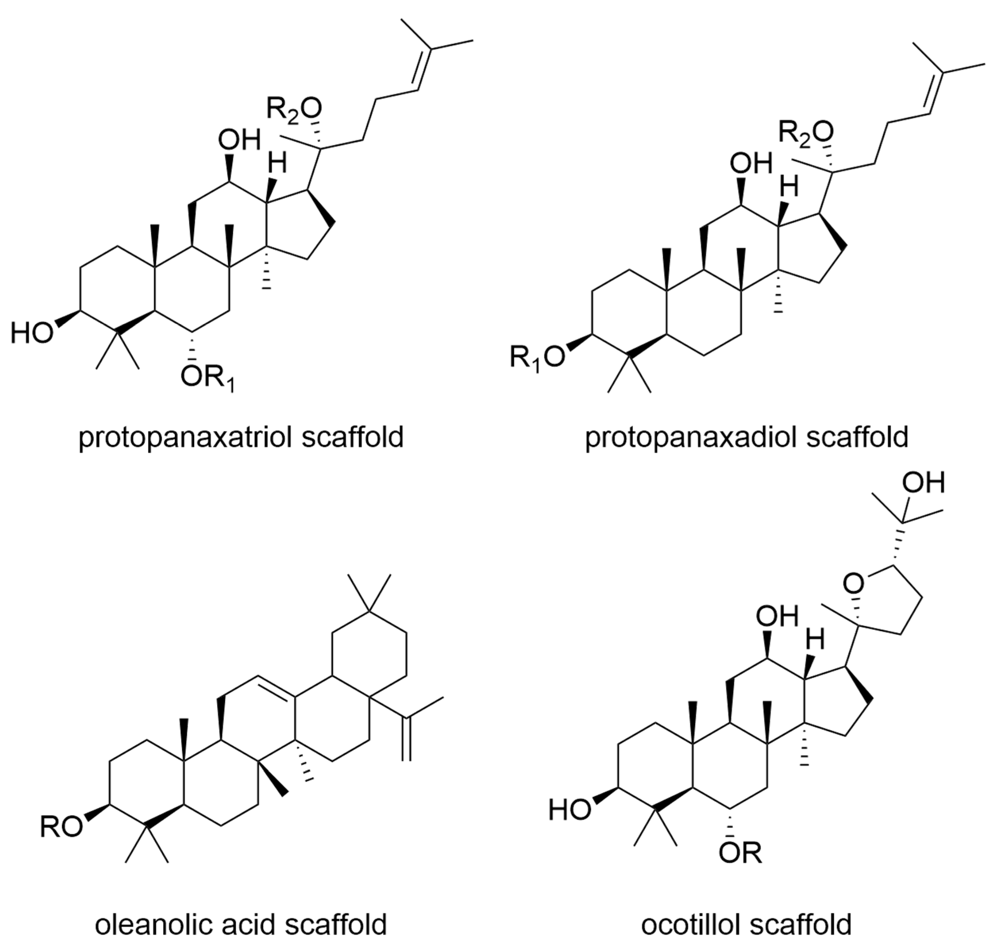 Molecules 27 03209 g004 Molecules 27 03209 g004