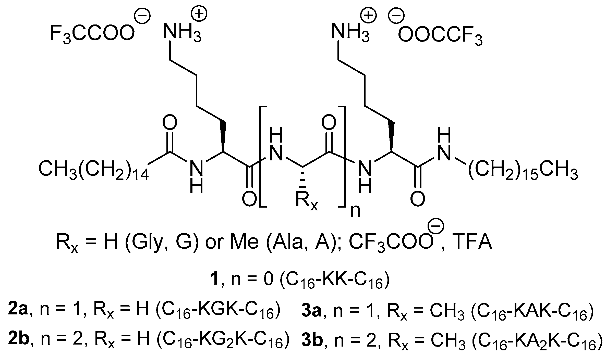 Molecules 27 03217 g001