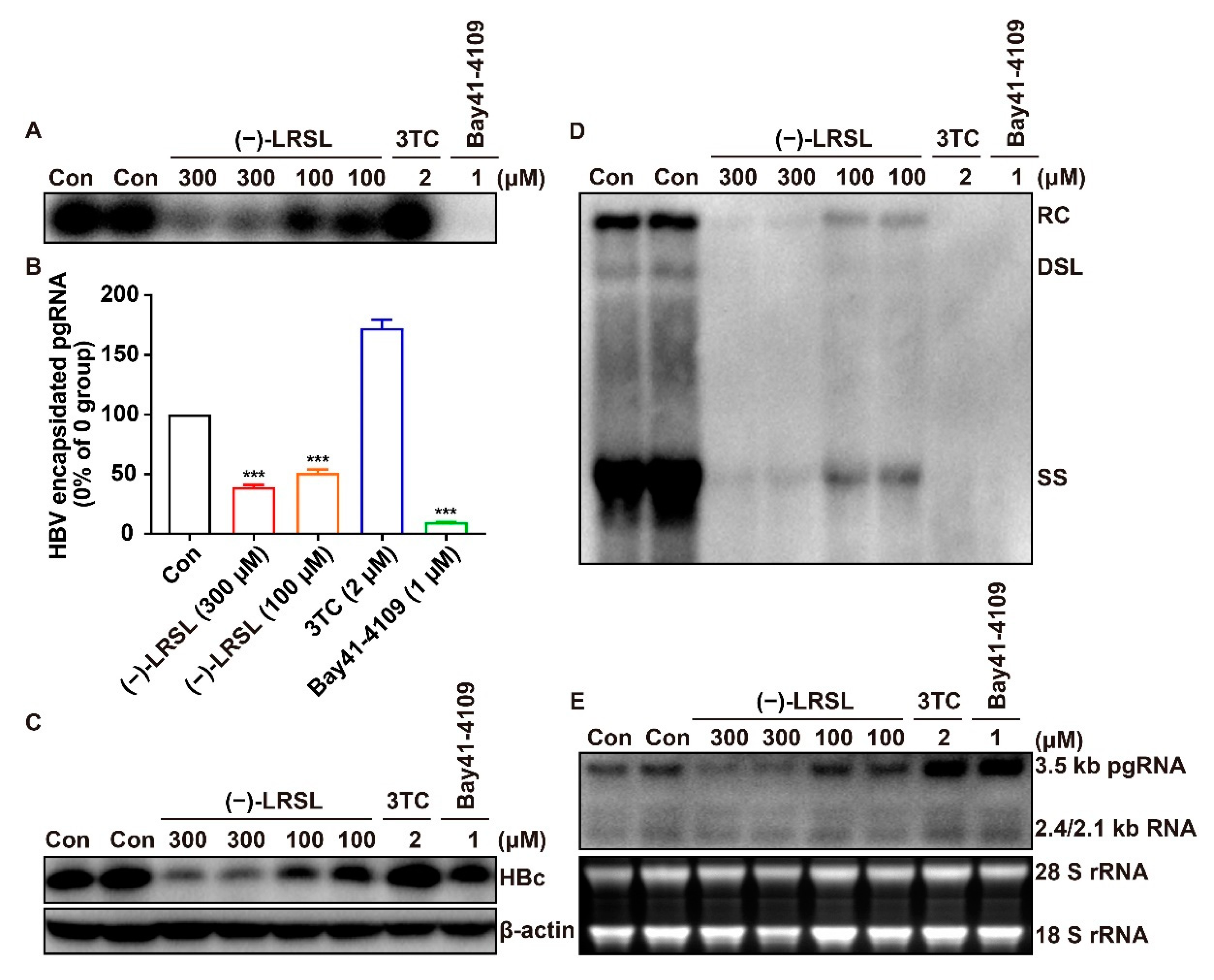 Molecules 27 03223 g005