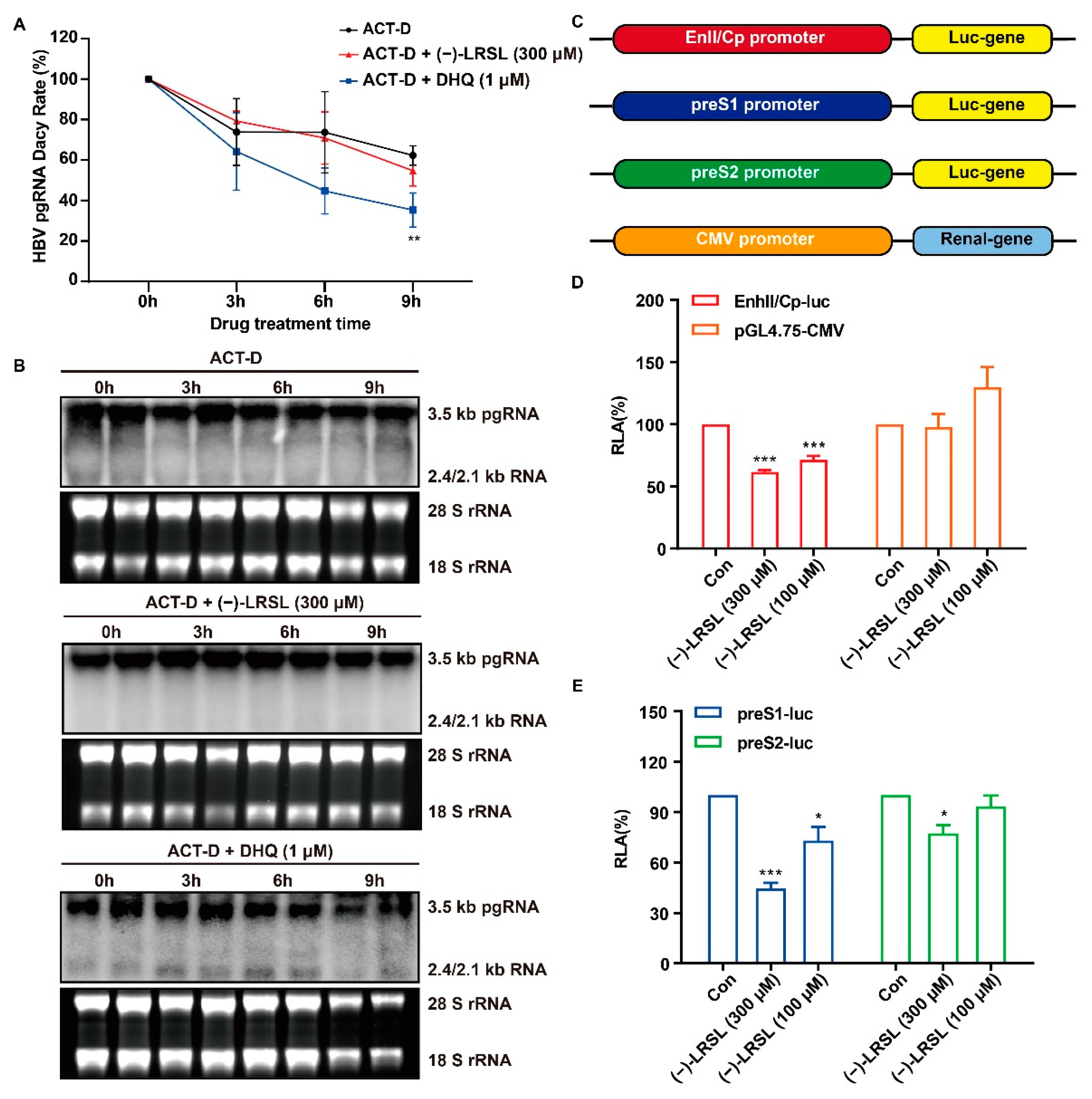 Molecules 27 03223 g007