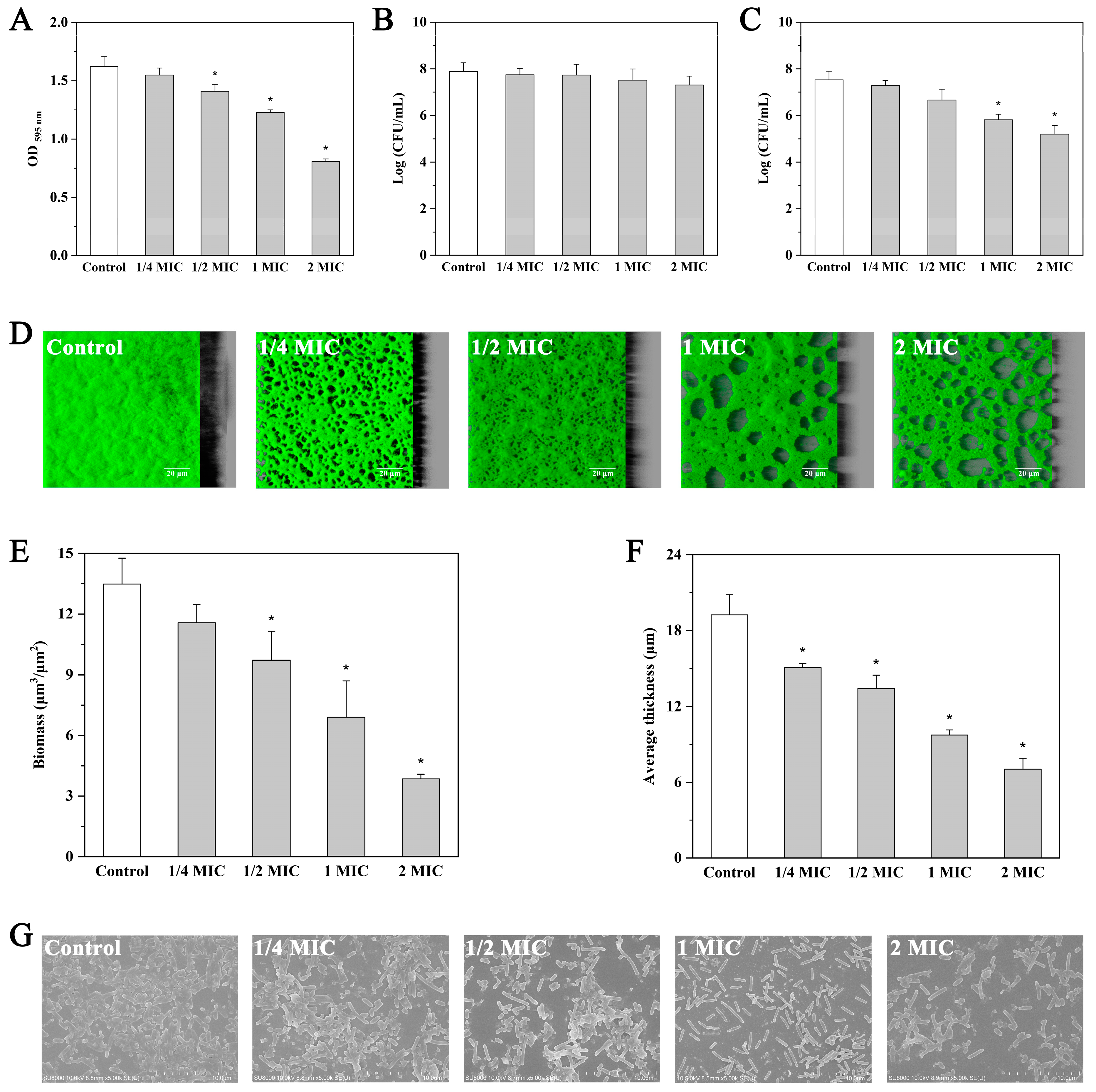 Molecules 27 03234 g004