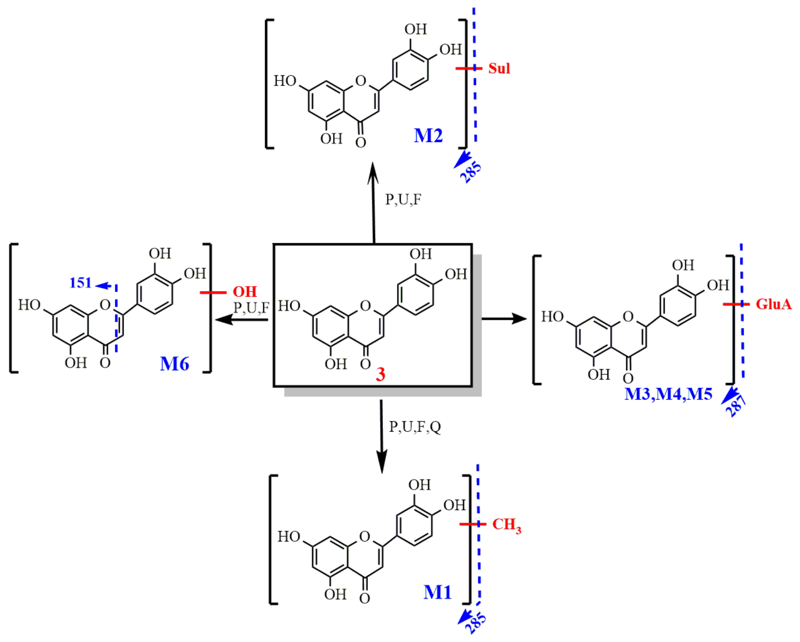 Molecules 27 03245 g010