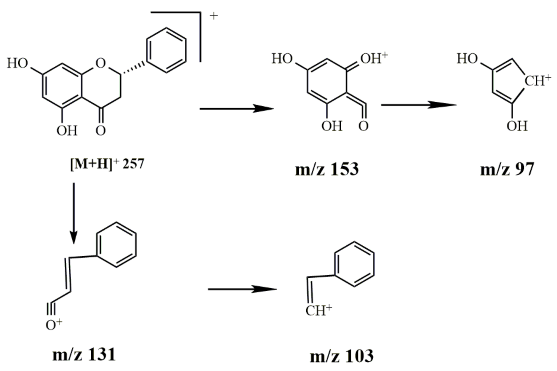 Molecules 27 03245 g011