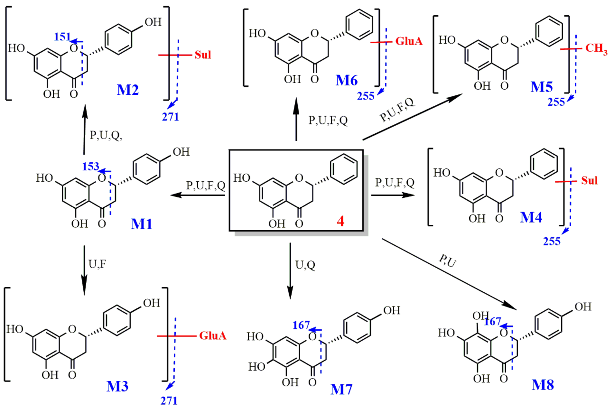 Molecules 27 03245 g012