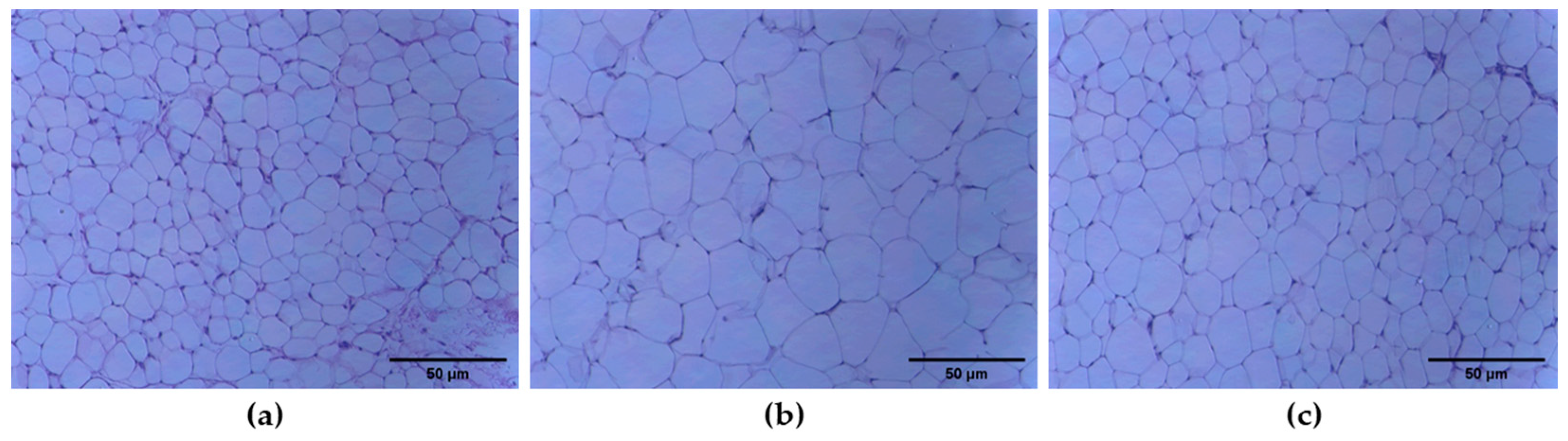Molecules 27 03248 g006 Molecules 27 03248 g006