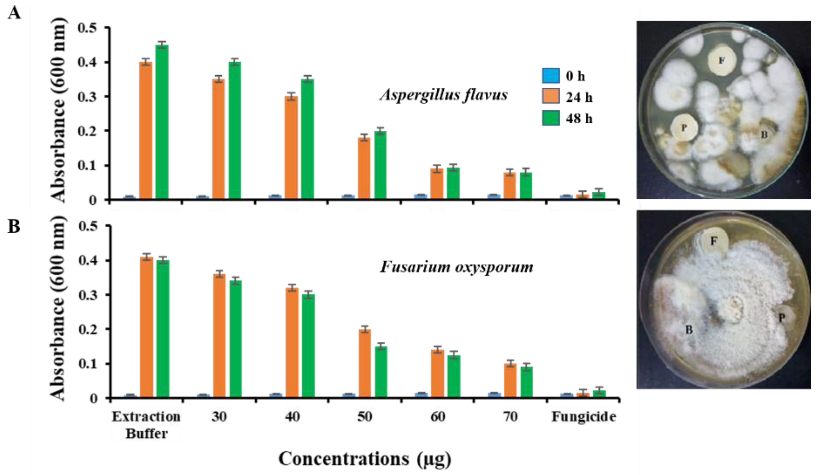 Molecules 27 03251 g007